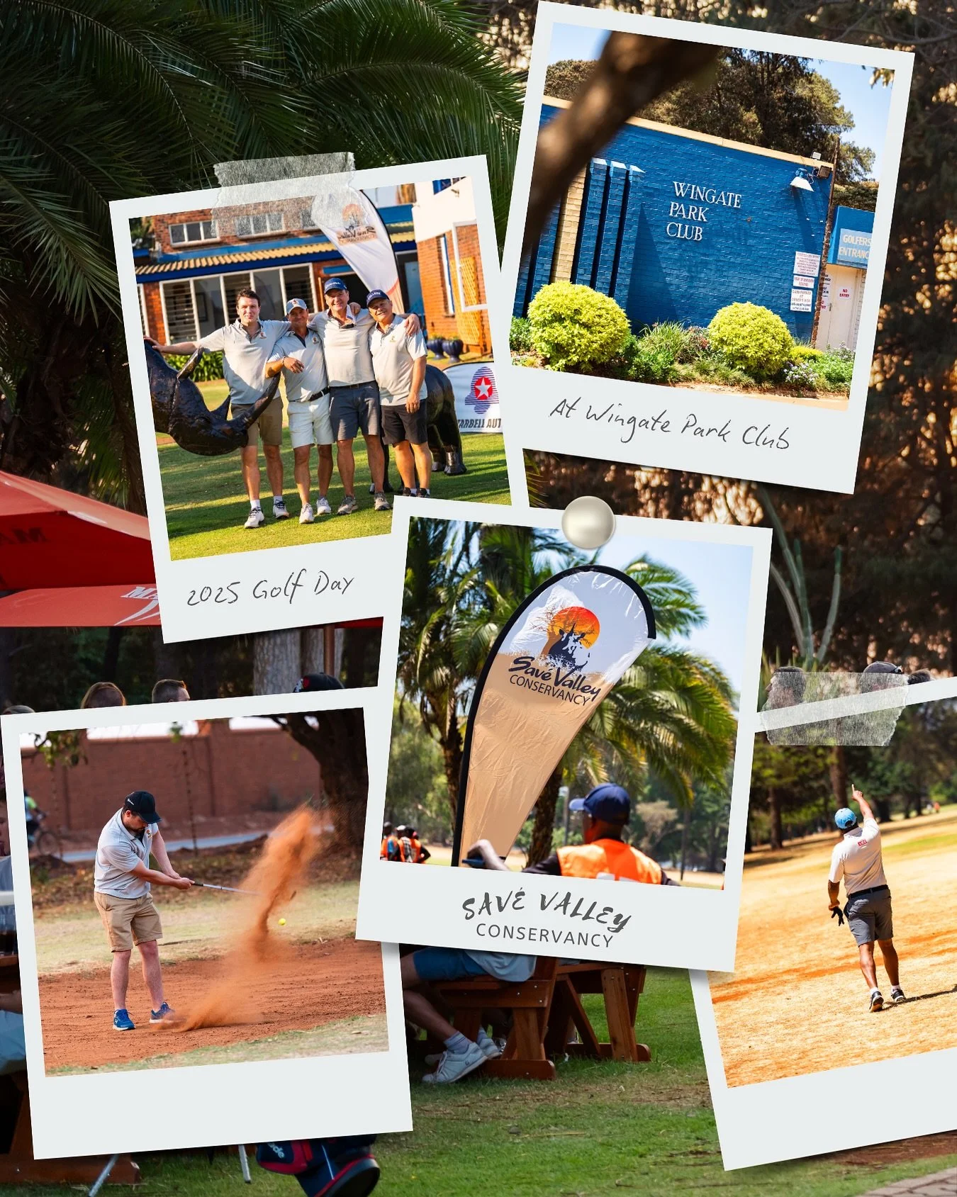 Today&rsquo;s golf event supports the Sav&eacute; Valley Conservancy. Being one of Africa&rsquo;s largest privately owned game reserves and home to the Big Five, rhinos, wild dogs, and hundreds of bird species. Funds raised go toward anti-poaching pa