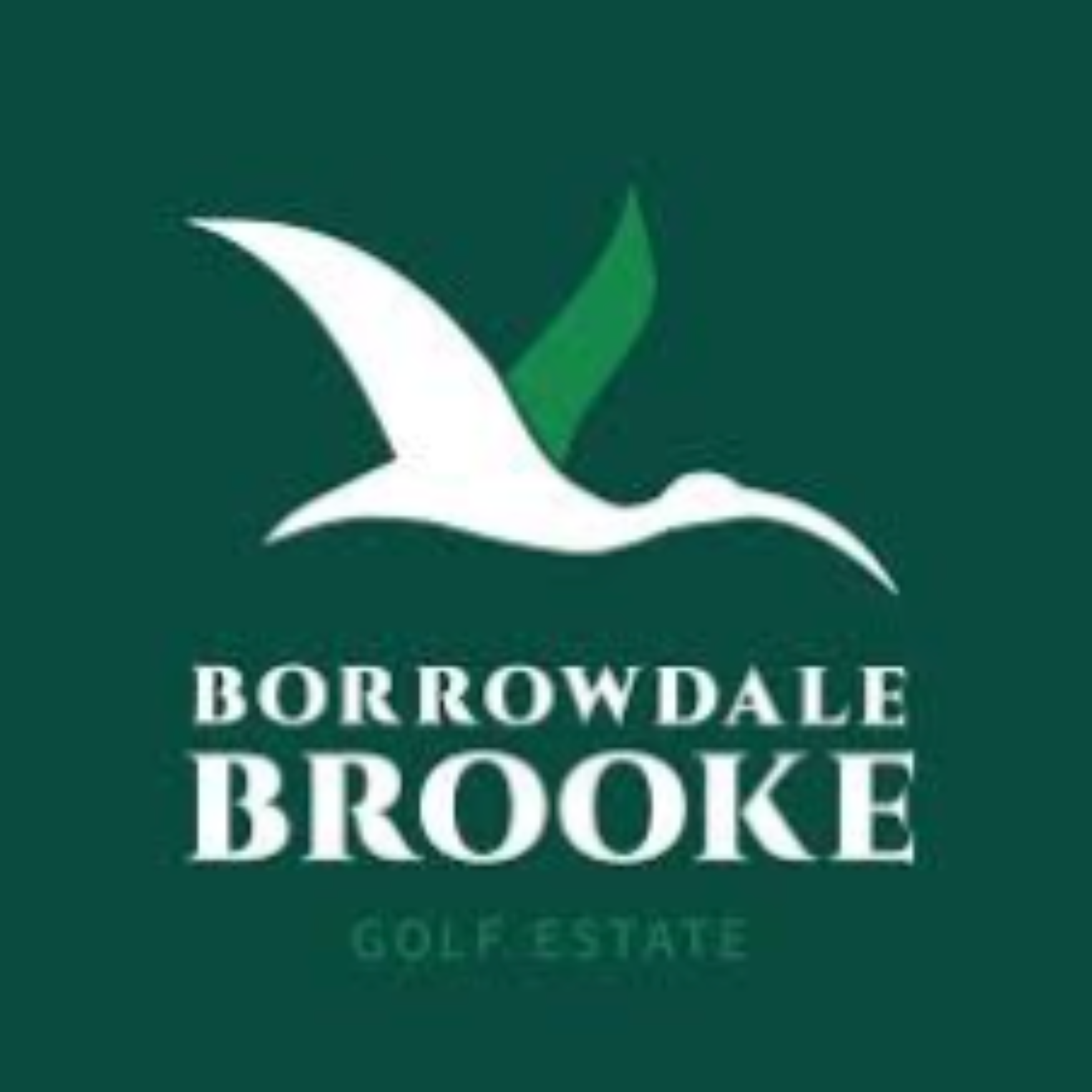 Logo of Borrowdale Brooke Golf Estate featuring a stylized seagull in flight with a green wing set against a dark green background, and the text 'Borrowdale Brooke Golf Estate' below.