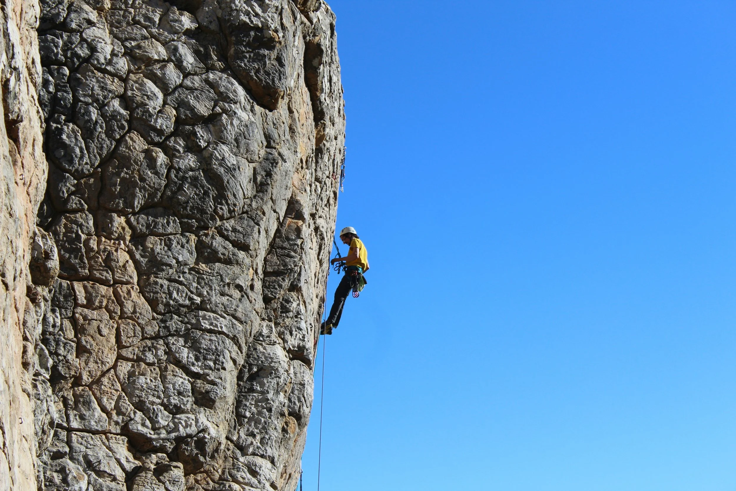 Scaling with Authority: