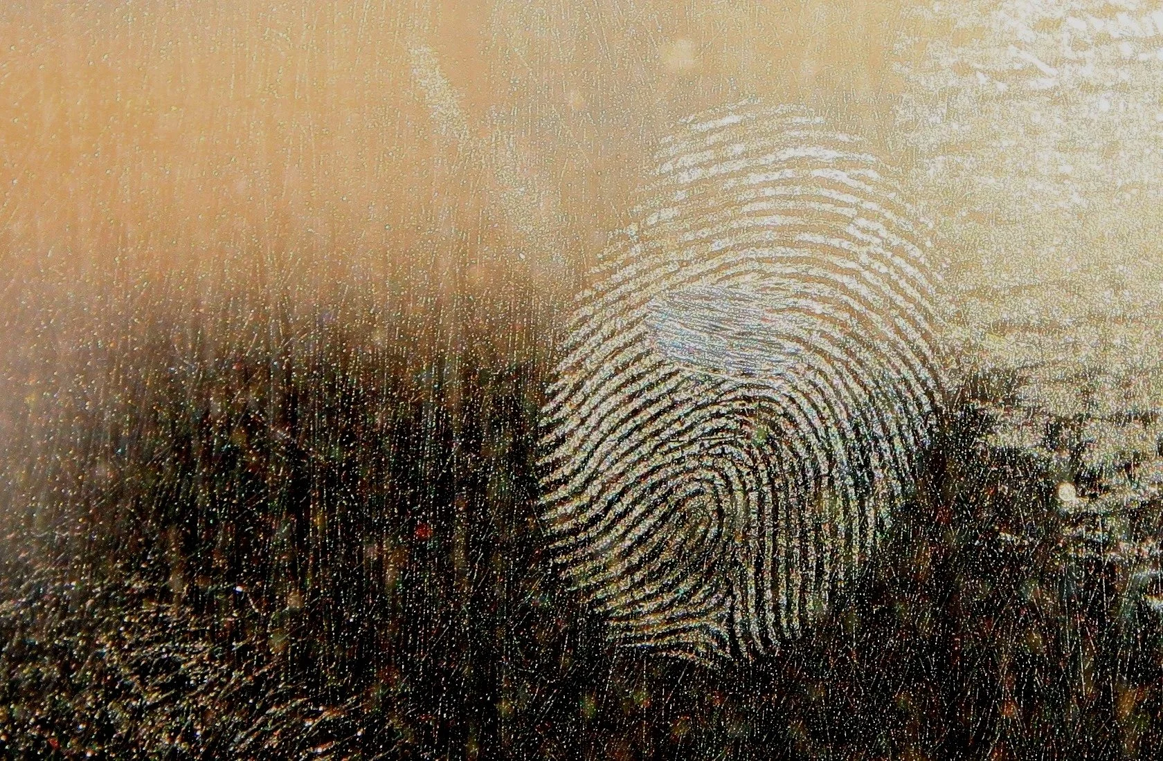 The Evidentiary Limits of Inference in Human–AI Interaction