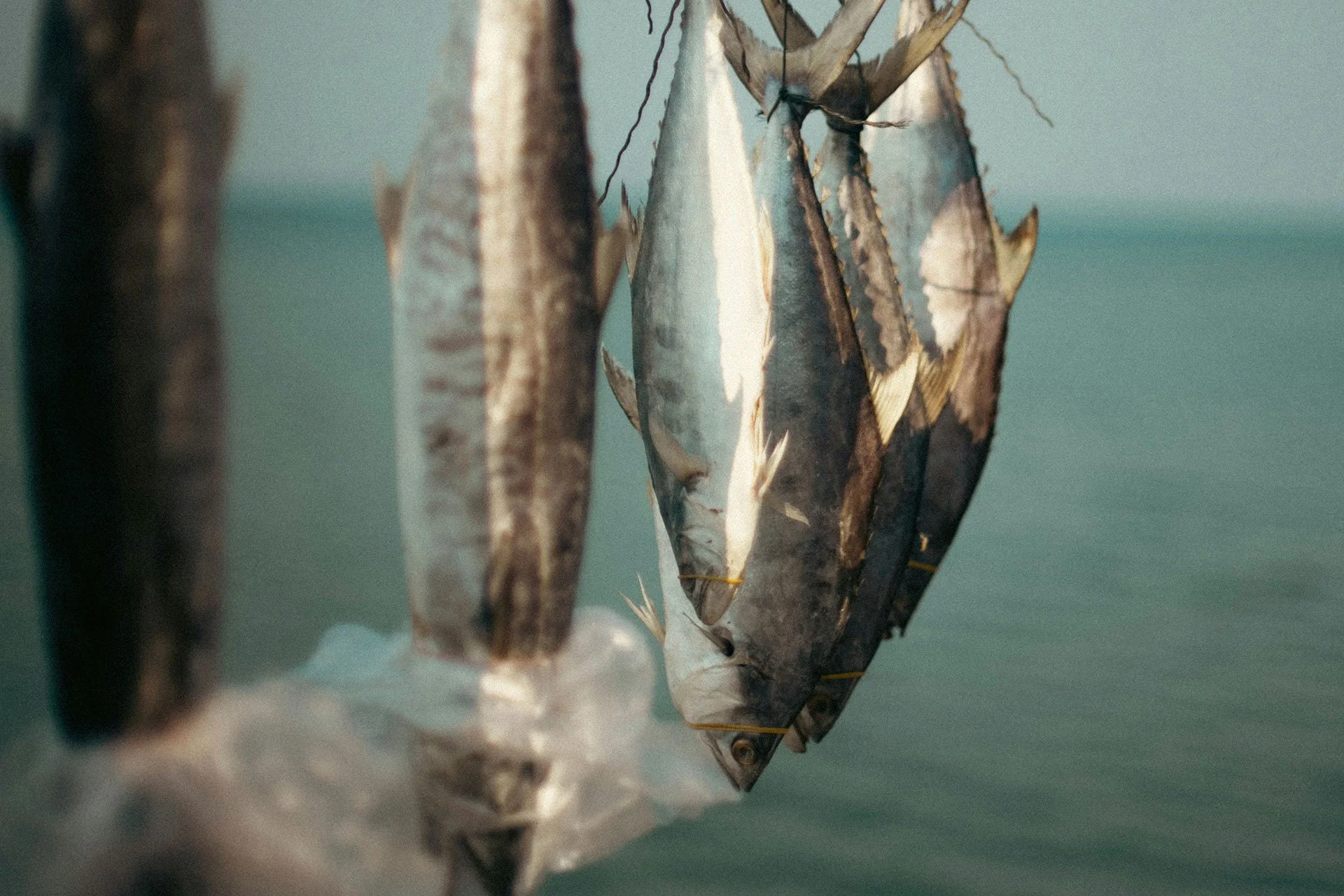 Best Places to Eat in St. Thomas, US Virgin Islands | Local Food Guide