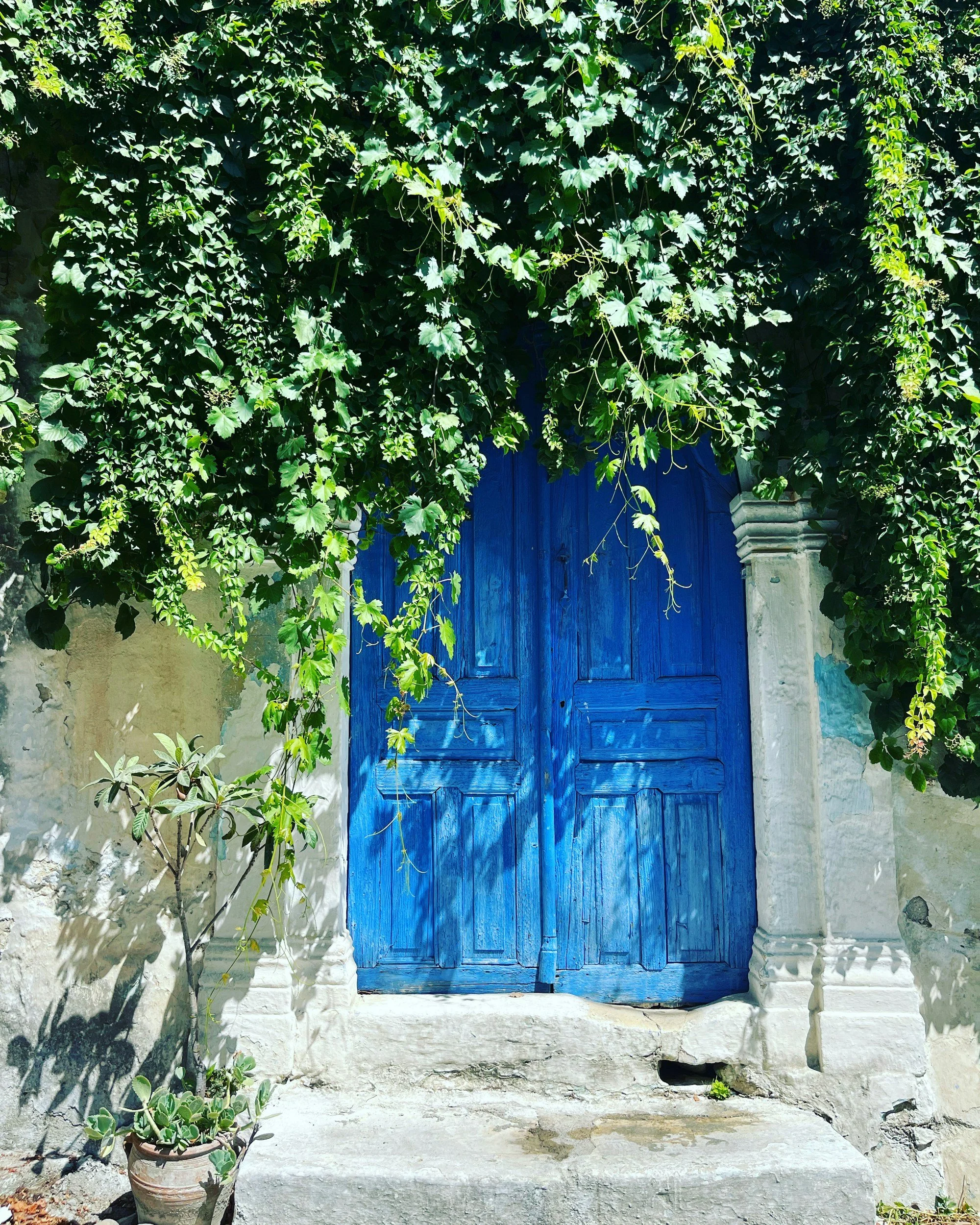 Blue-painted door on a whitewashed house with grapevine leaves in a mountain village in South Crete.