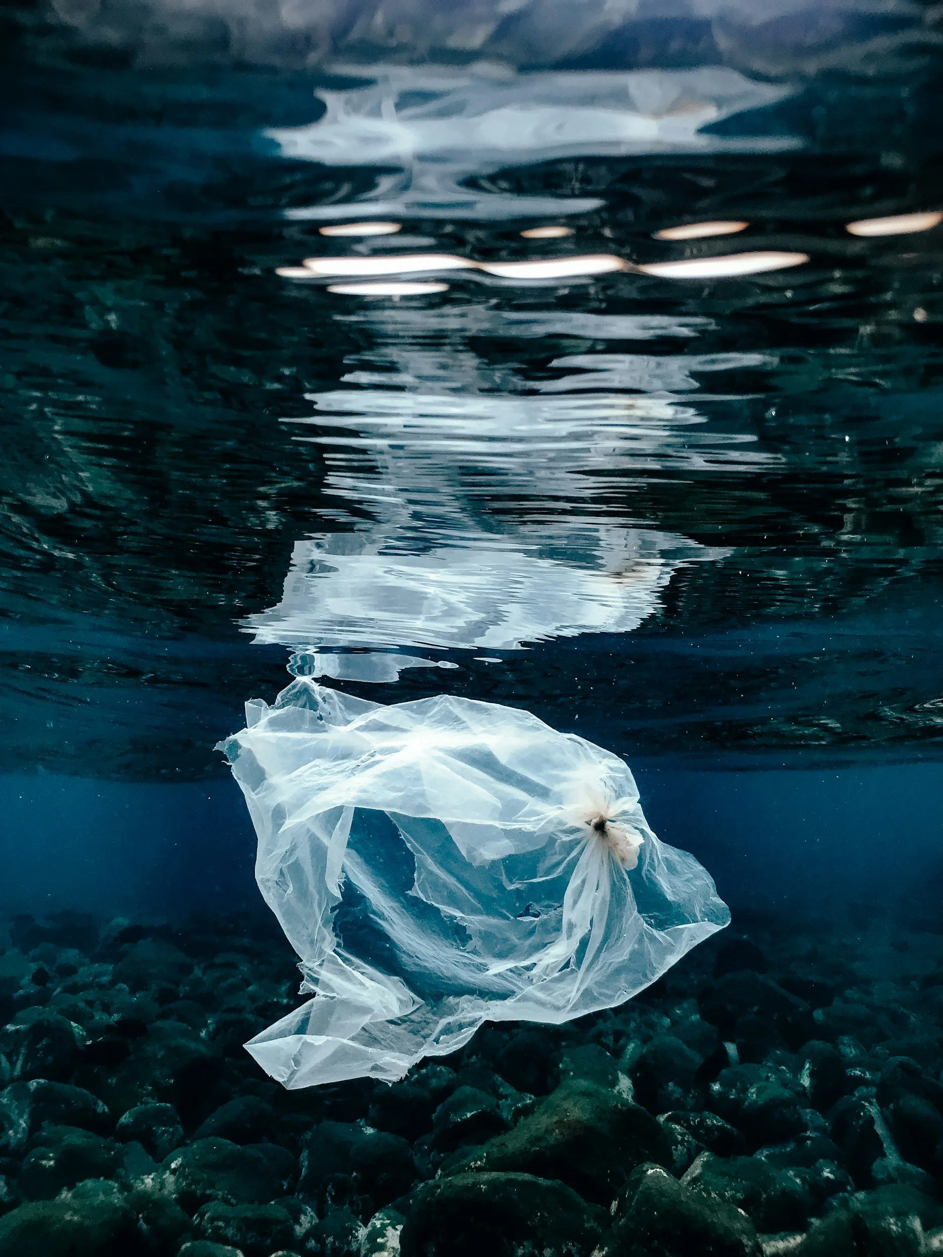 A plastic bag floating in the sea of South Crete, highlighting the waste disposal challenges in Greece
