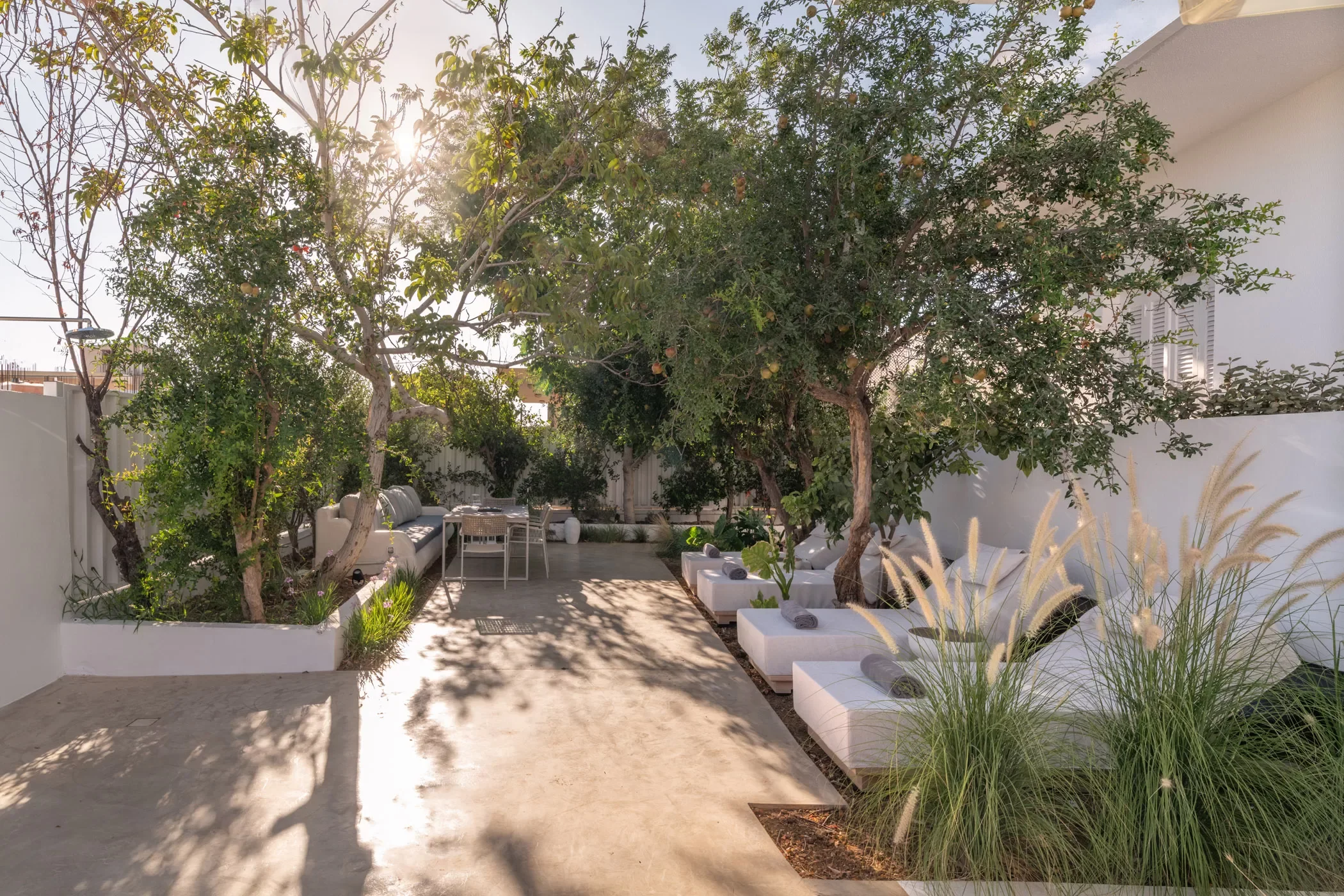 Apartment for rent for Holidays near Matala crete. A backyard patio with several trees providing shade, outdoor furniture and Jacuzzi