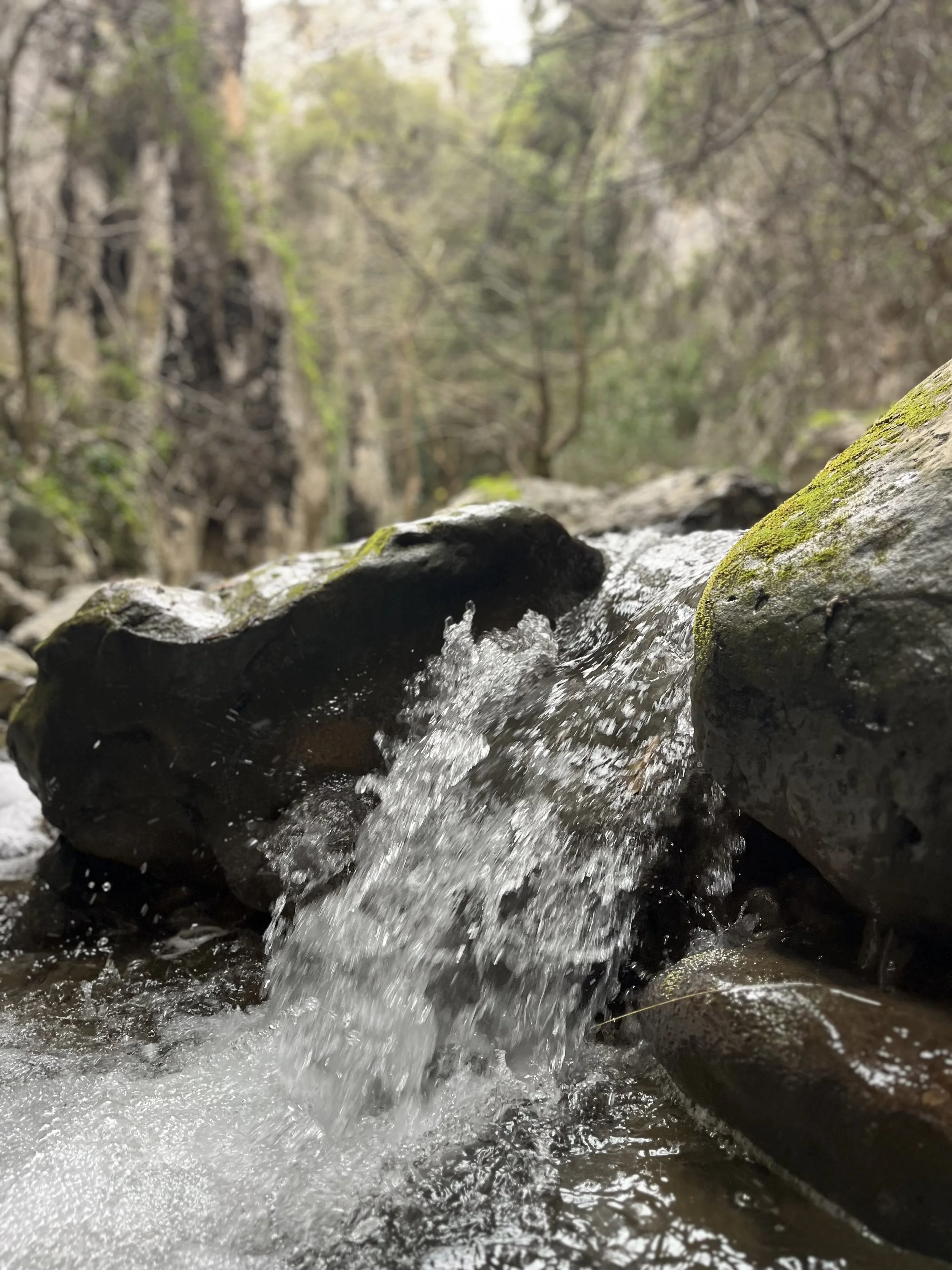 Crystal-clear water cascades over moss-covered rocks in Patsos Gorge, one of Crete's most lush and surprising natural landscapes.