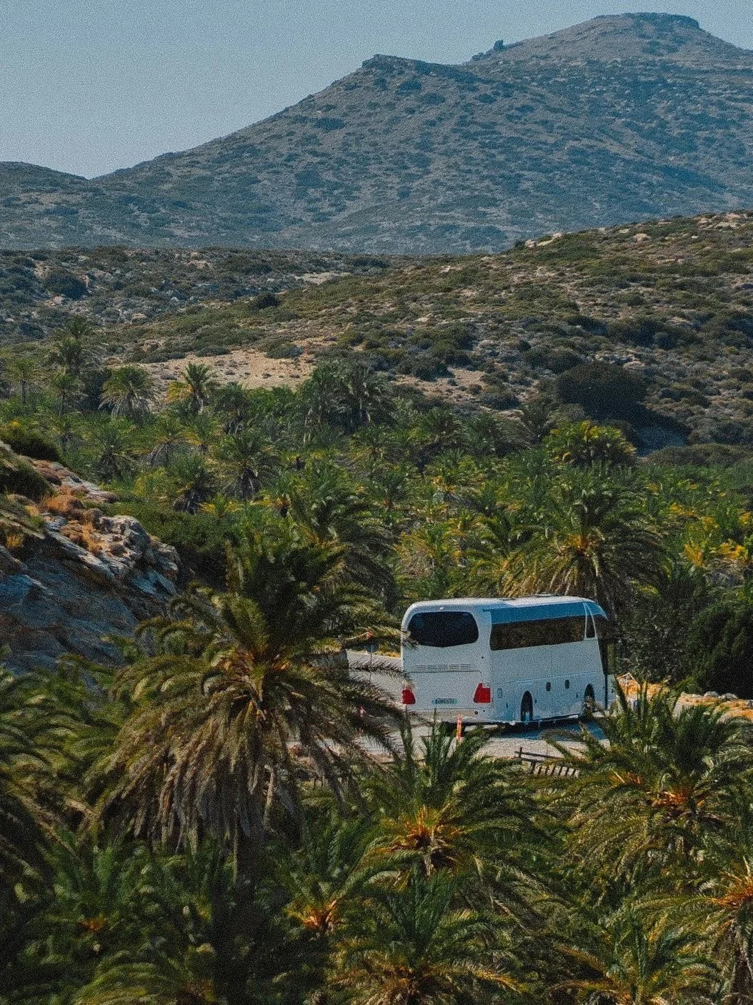 Bus in Crete driving past palm trees and through the mountains.