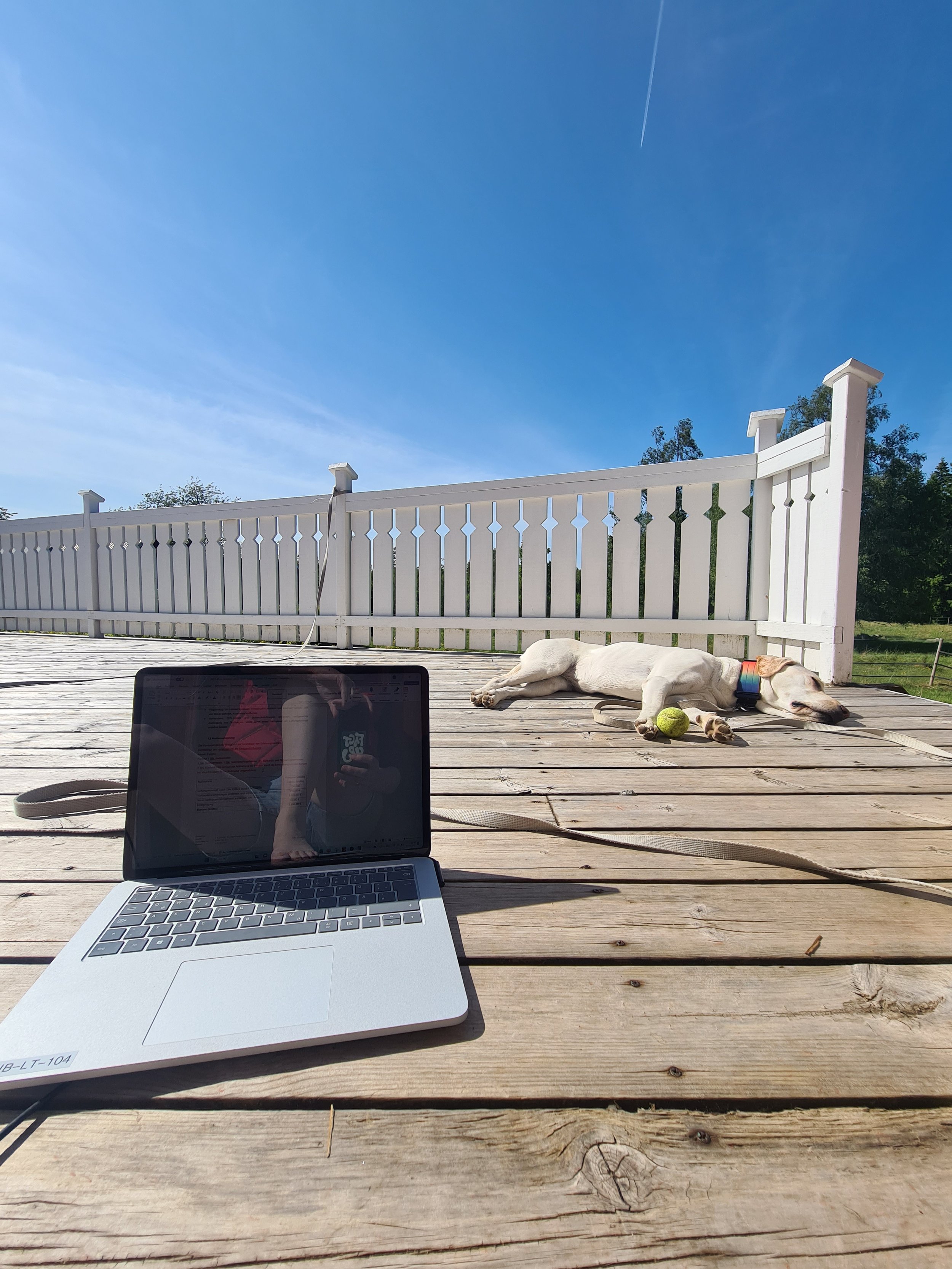 Ein Laptop auf einem Holztisch im Freien, im Hintergrund liegt ein läufiger Hund auf dem Boden, neben ihm ein Tenniskball, der Himmel ist blau mit manchen Wolken.