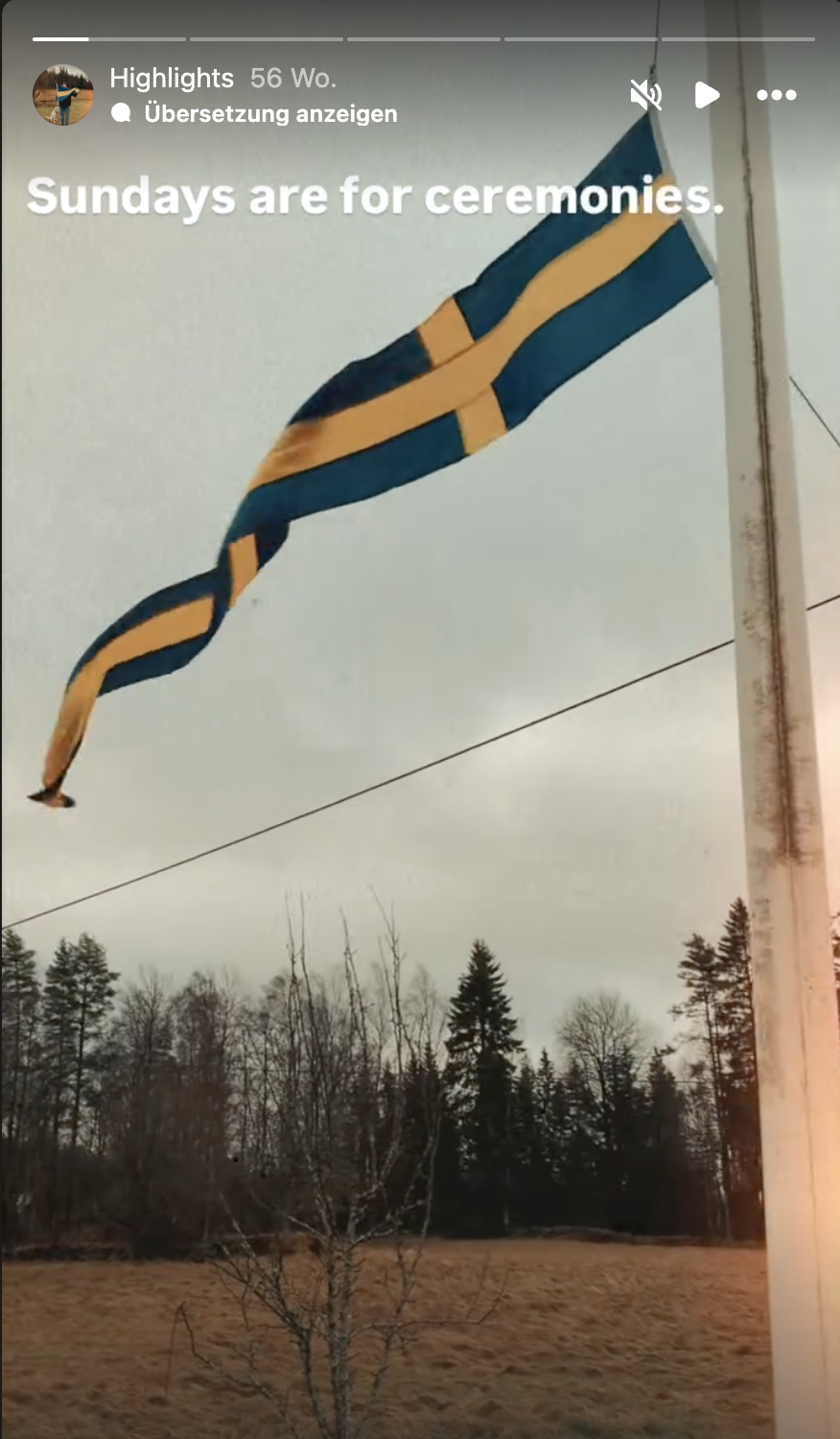 Eine schwenkende Flagge mit blauen, schwarzen und gelben Farben gegen einen bewölkten Himmel, mit Bäumen im Hintergrund, und der Text 'Sundays are for ceremonies' oben