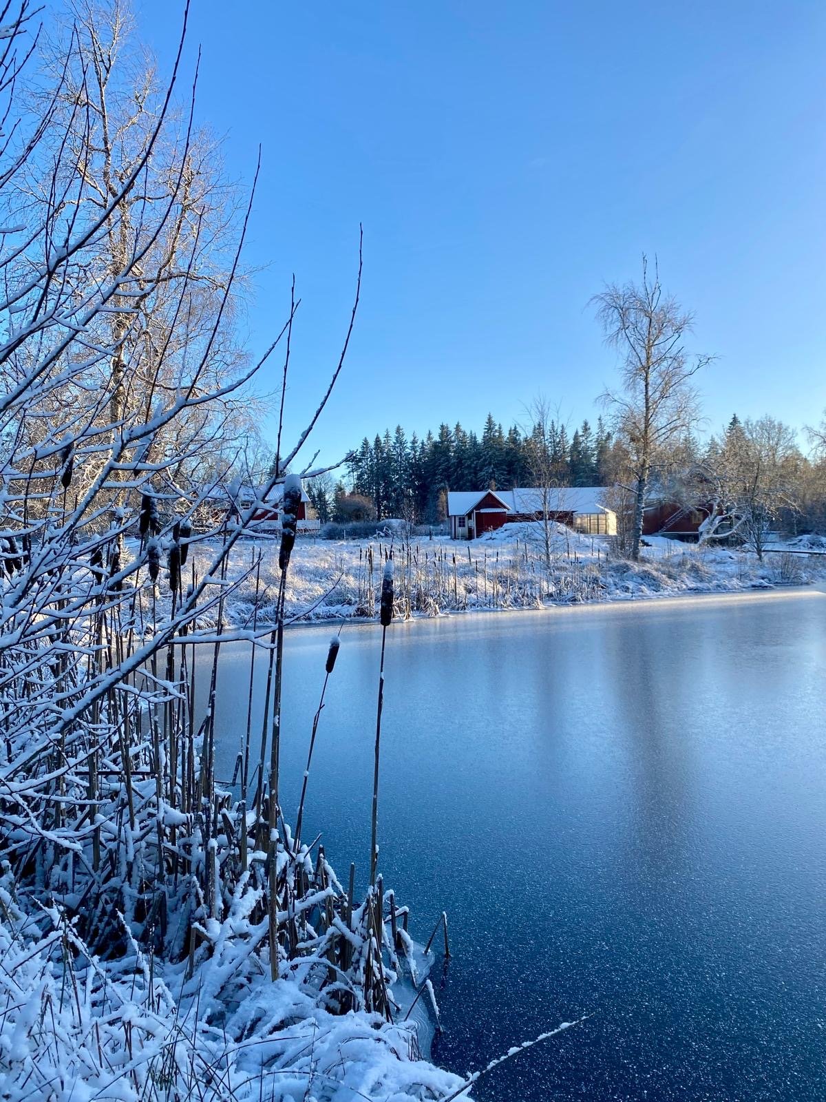 Ein verschneiter See mit Eisschicht, im Hintergrund Bäume und einige kleine Häuser, unter einem klaren blauen Himmel.