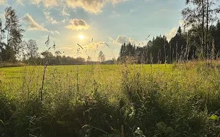 Eine weite grüne Wiese mit Bäumen im Hintergrund, Sonnenlicht und Wolken am Himmel.