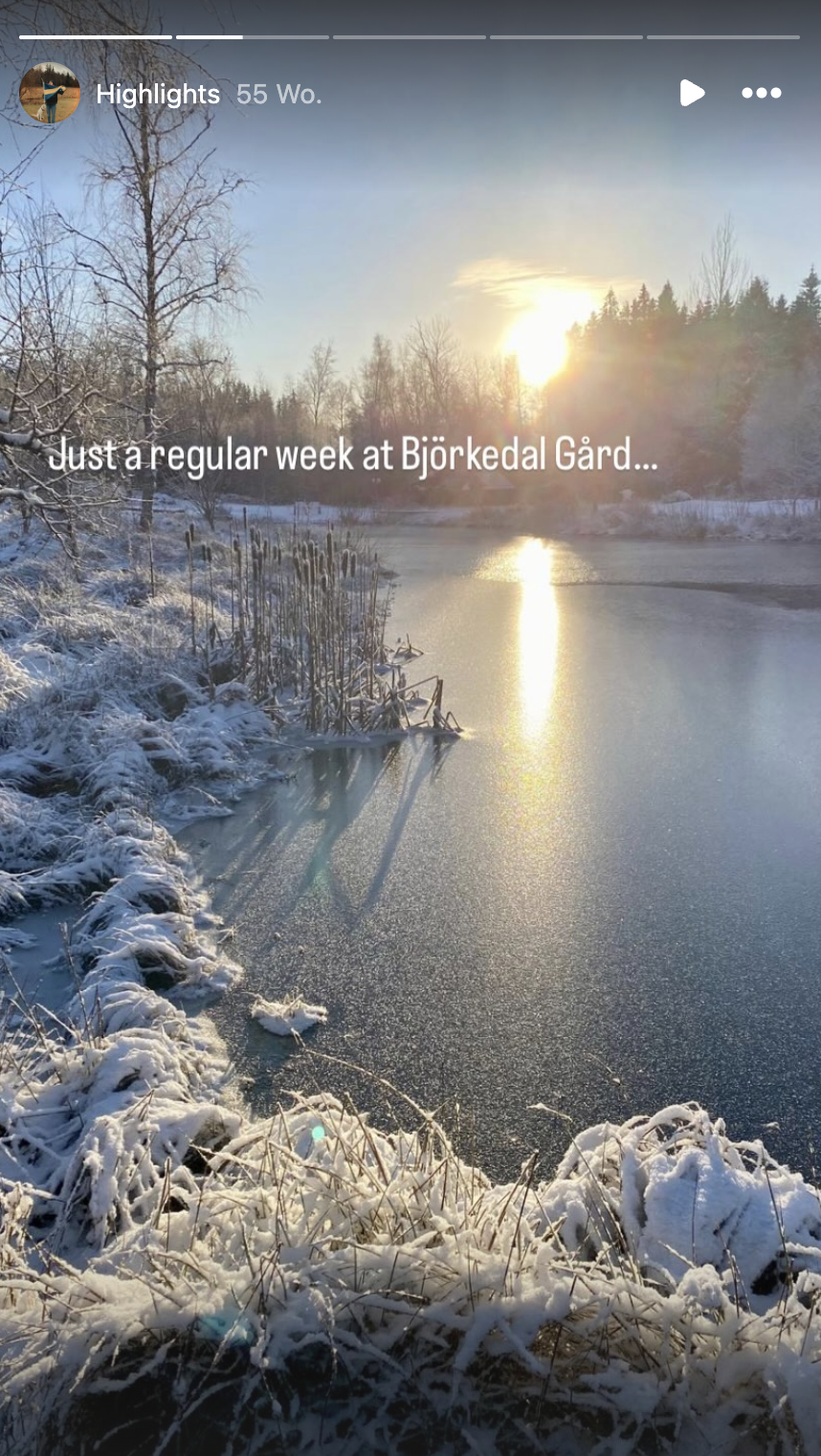 Winterlandschaft mit gefrorenem See, schneebedeckten Büschen und Bäumen, Sonnenuntergang am Himmel, klare Sicht auf die Natur.