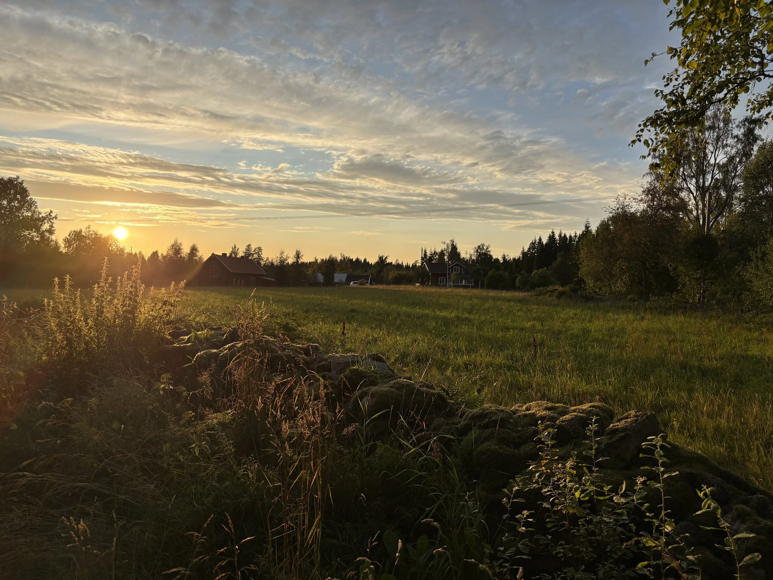 Landschaft bei Sonnenuntergang mit Feldern, Bäumen und einigen Häusern im Hintergrund.