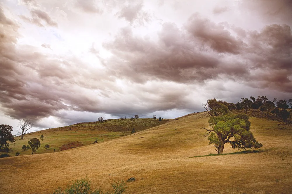 026 - New South Wales Landscape