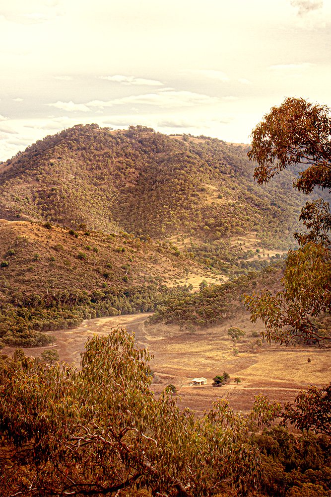 015 - House in the Valley