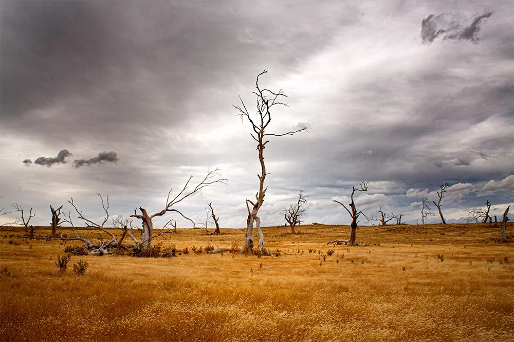 036 - Tasmanian Landscape