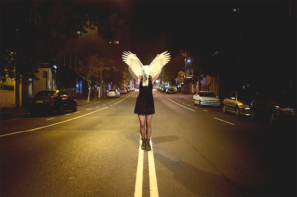 048 - The Beauty of Life