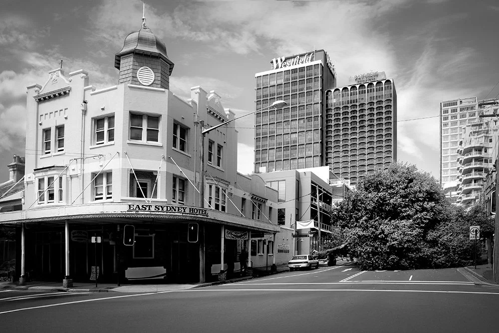 012 - Fallen Tree at the East Sydney Hotel