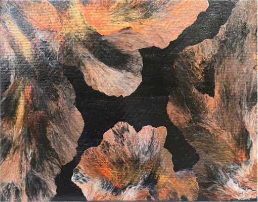 Floral Fragments.png