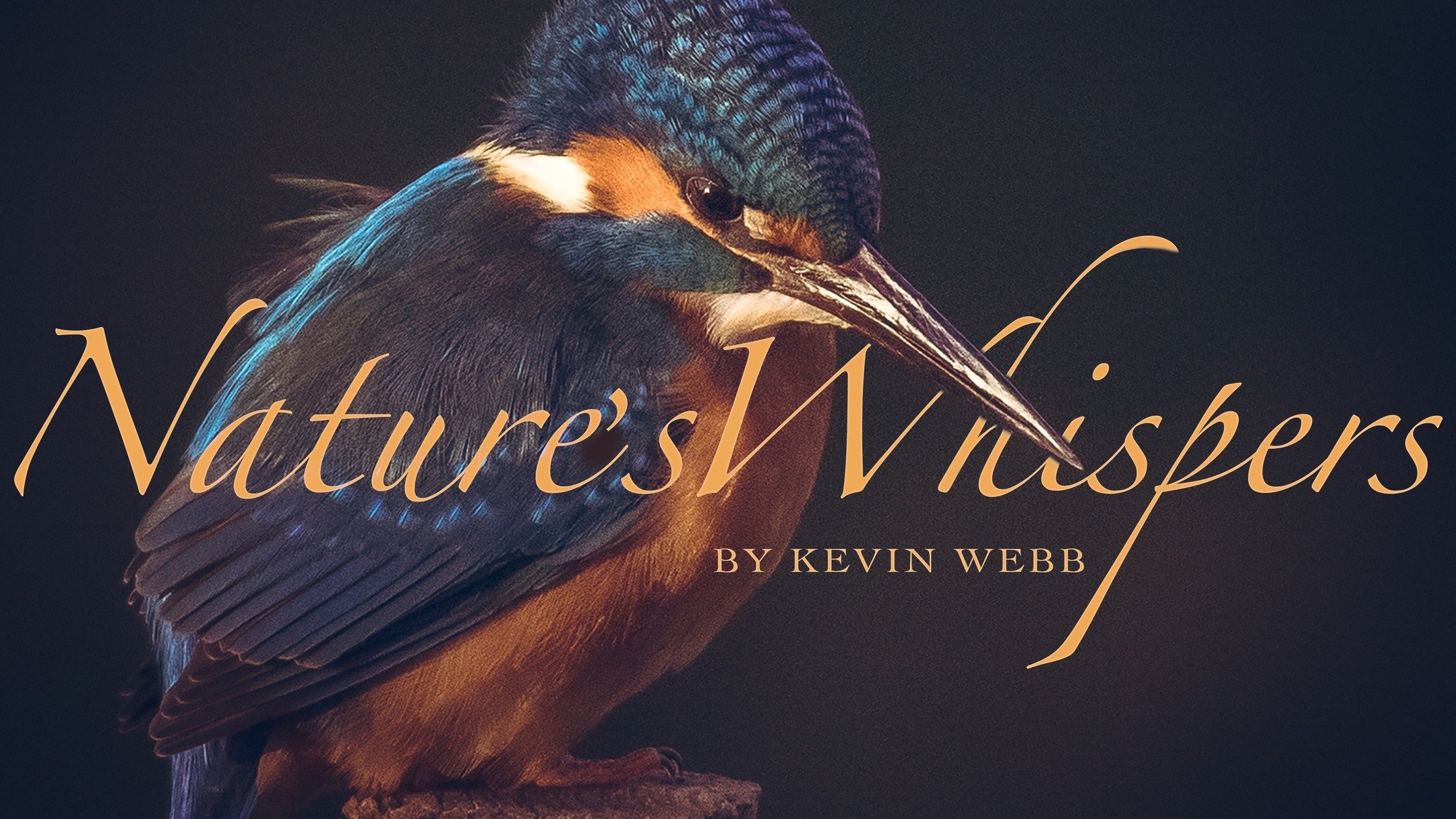 Well its been along road and a hard 2 years both physically and mentally&hellip; I&rsquo;ve got to a point where I&rsquo;m doing ok and I want to restart my photography journey and share my love of wildlife with you all. As a good friend tells me&hel
