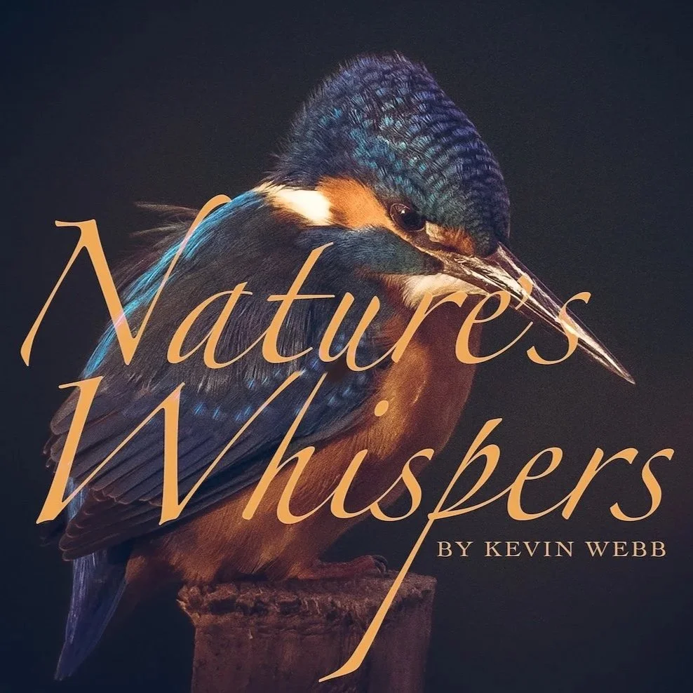 Nature's Whispers