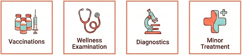 Icons representing vaccinations, wellness examination, diagnostics, and minor treatment in a healthcare setting.