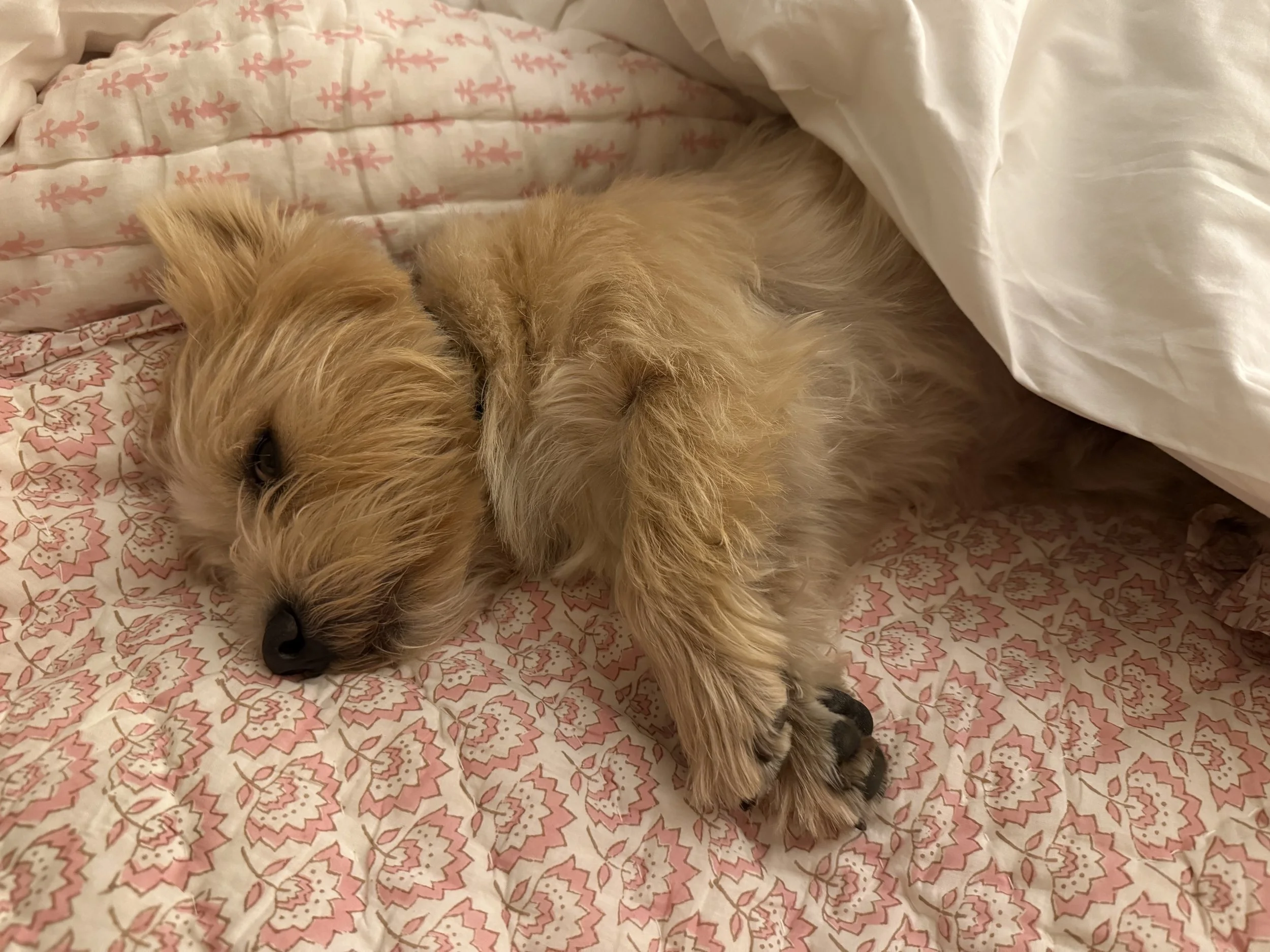 Let’s talk about sleep…