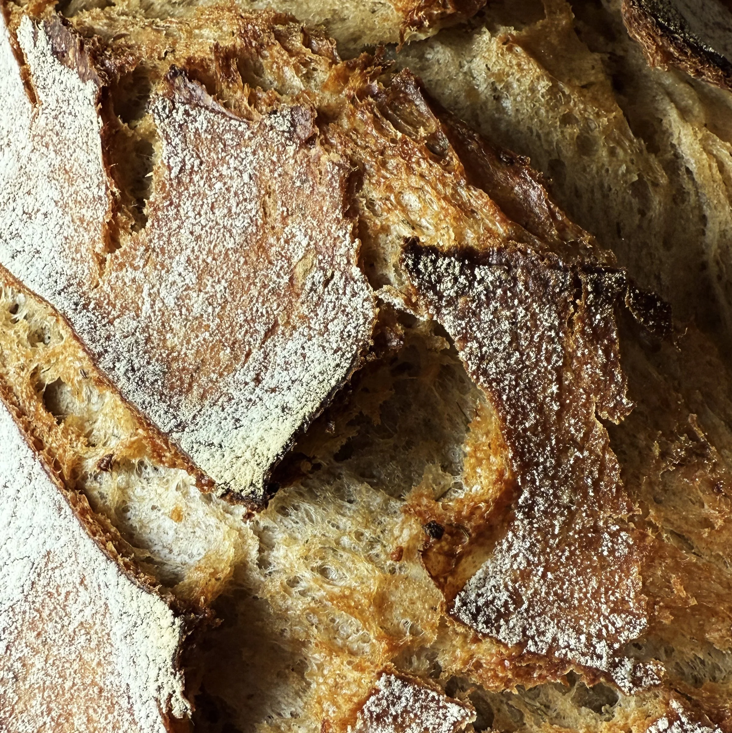 Close-up view of toasted slices of bread with golden-brown crust and soft interior.