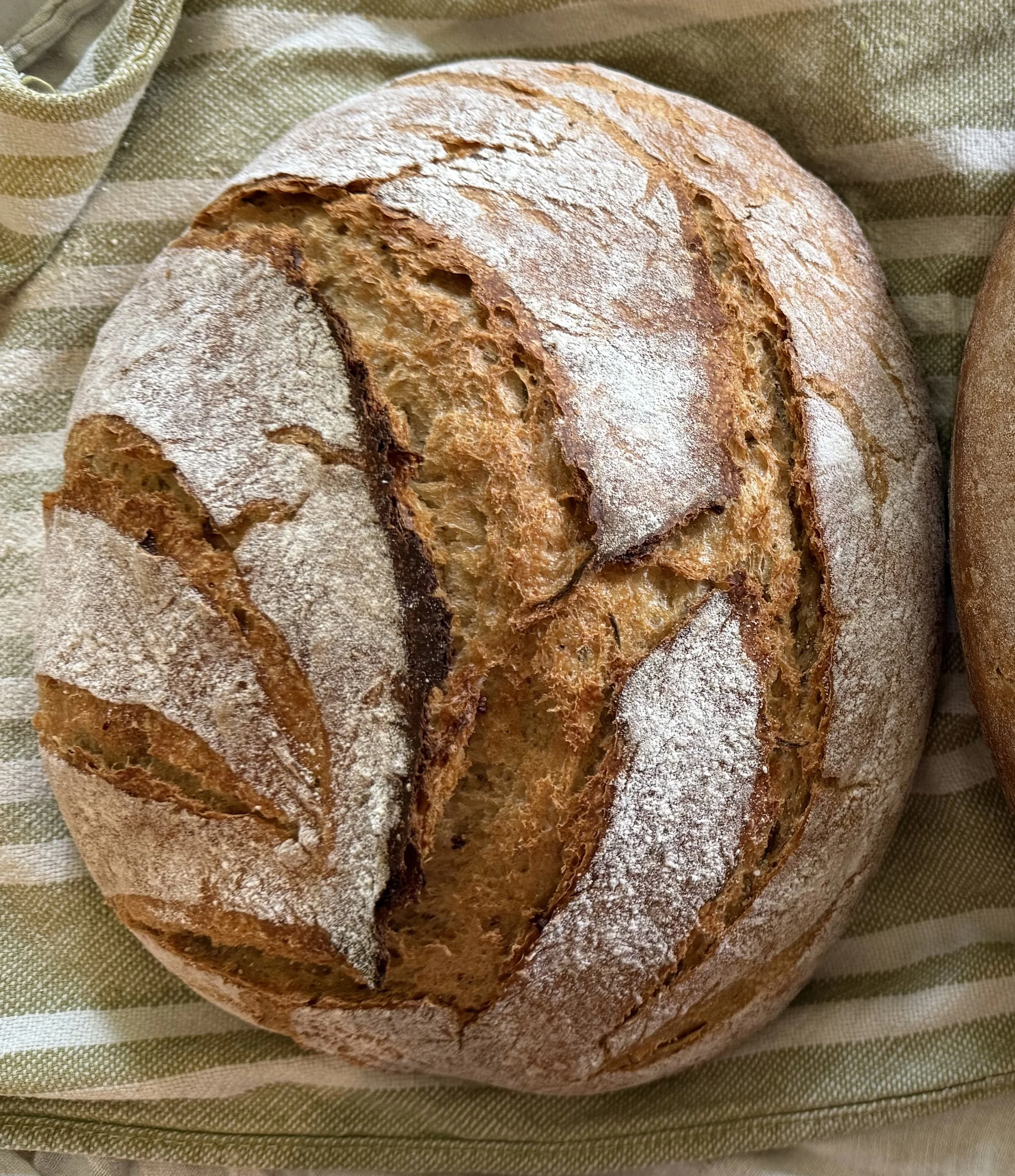 rosemarygarlicFFBbread copy.jpg