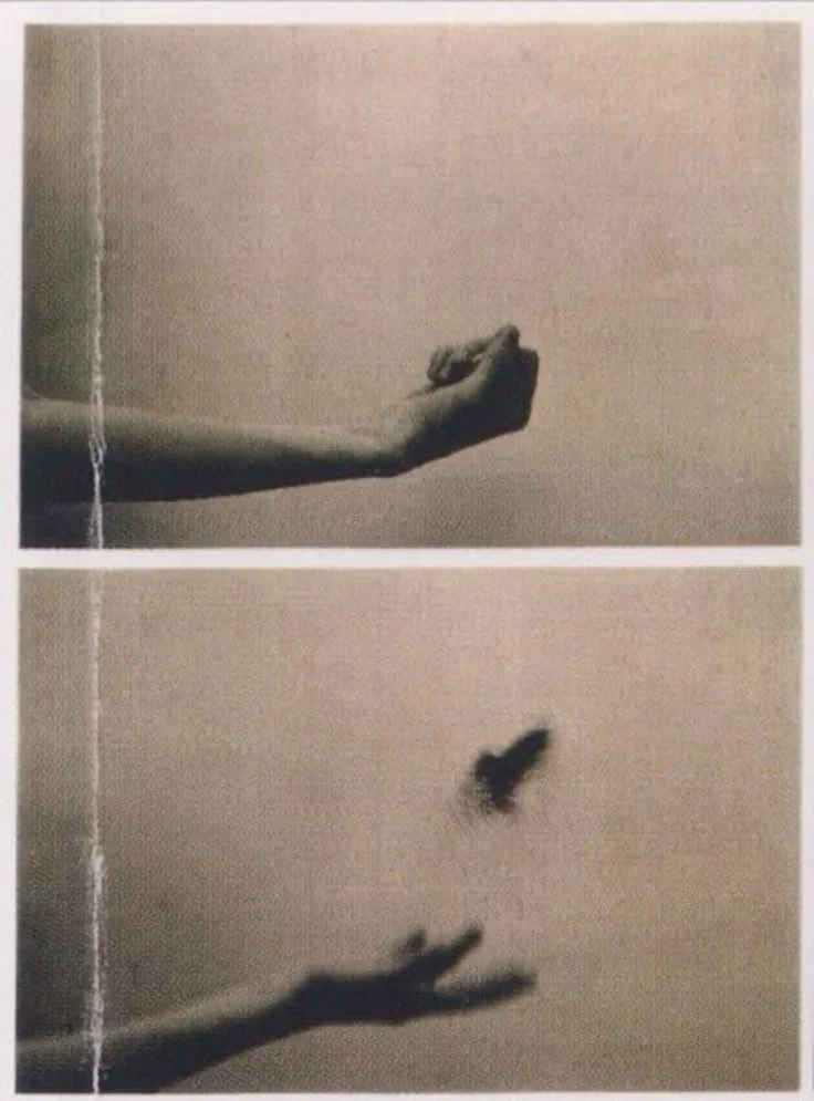 Sensation &amp; Escape