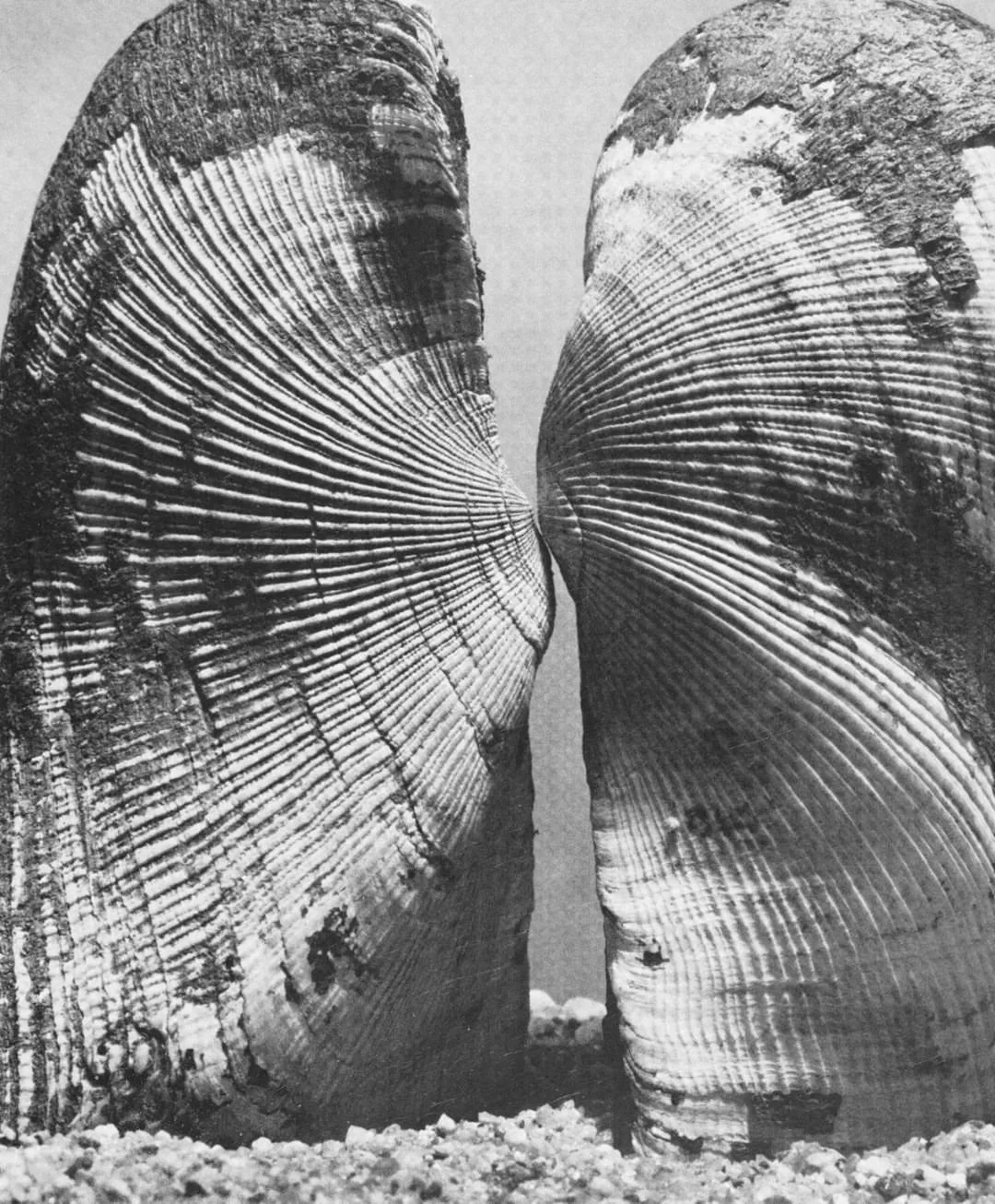 Building Relationship with Sensation