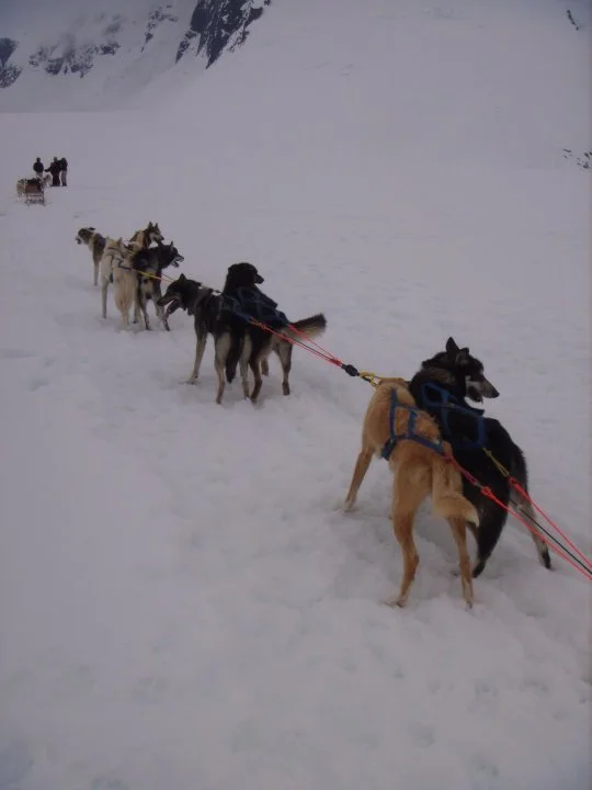 alaska.jpg