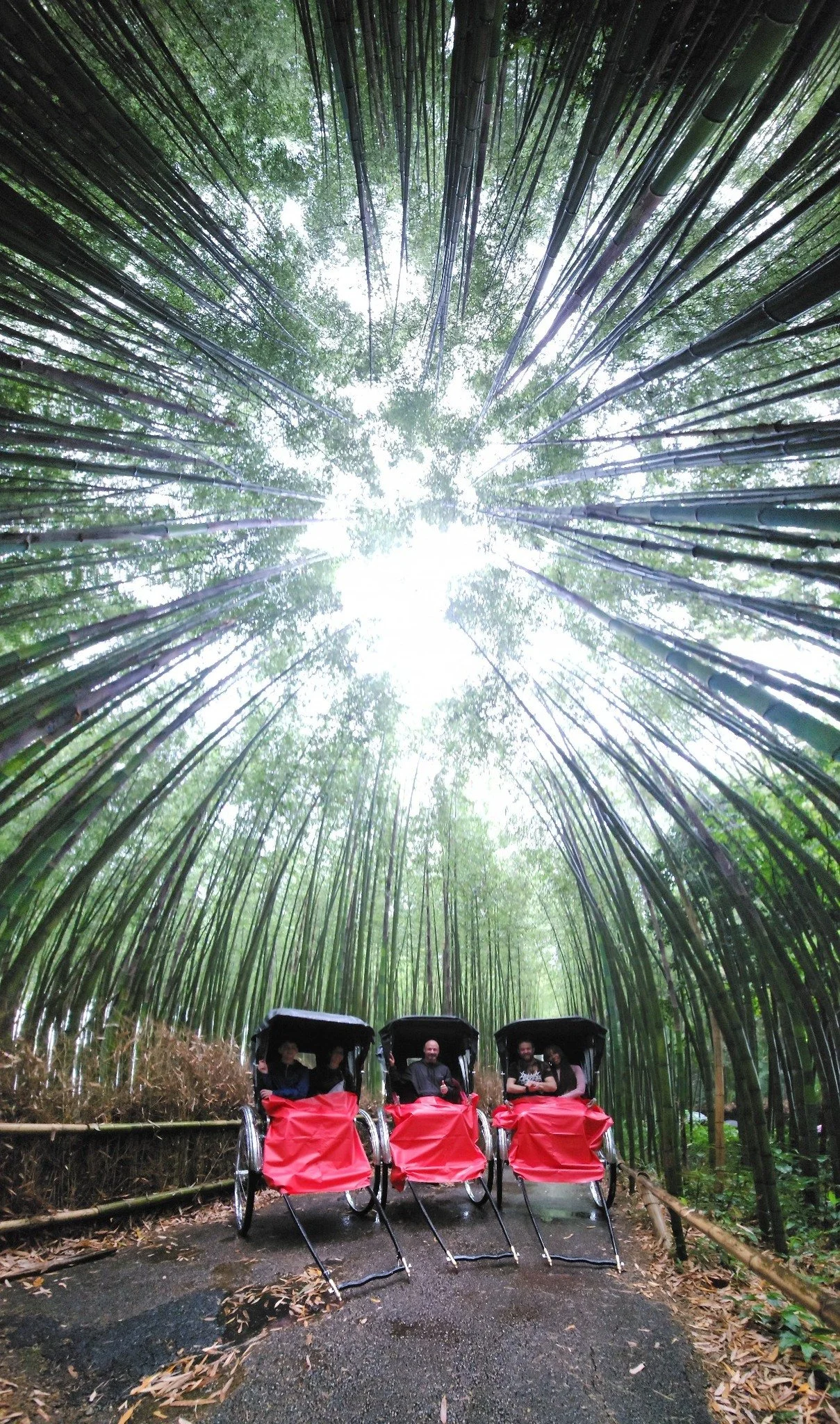 kyoto.jpg