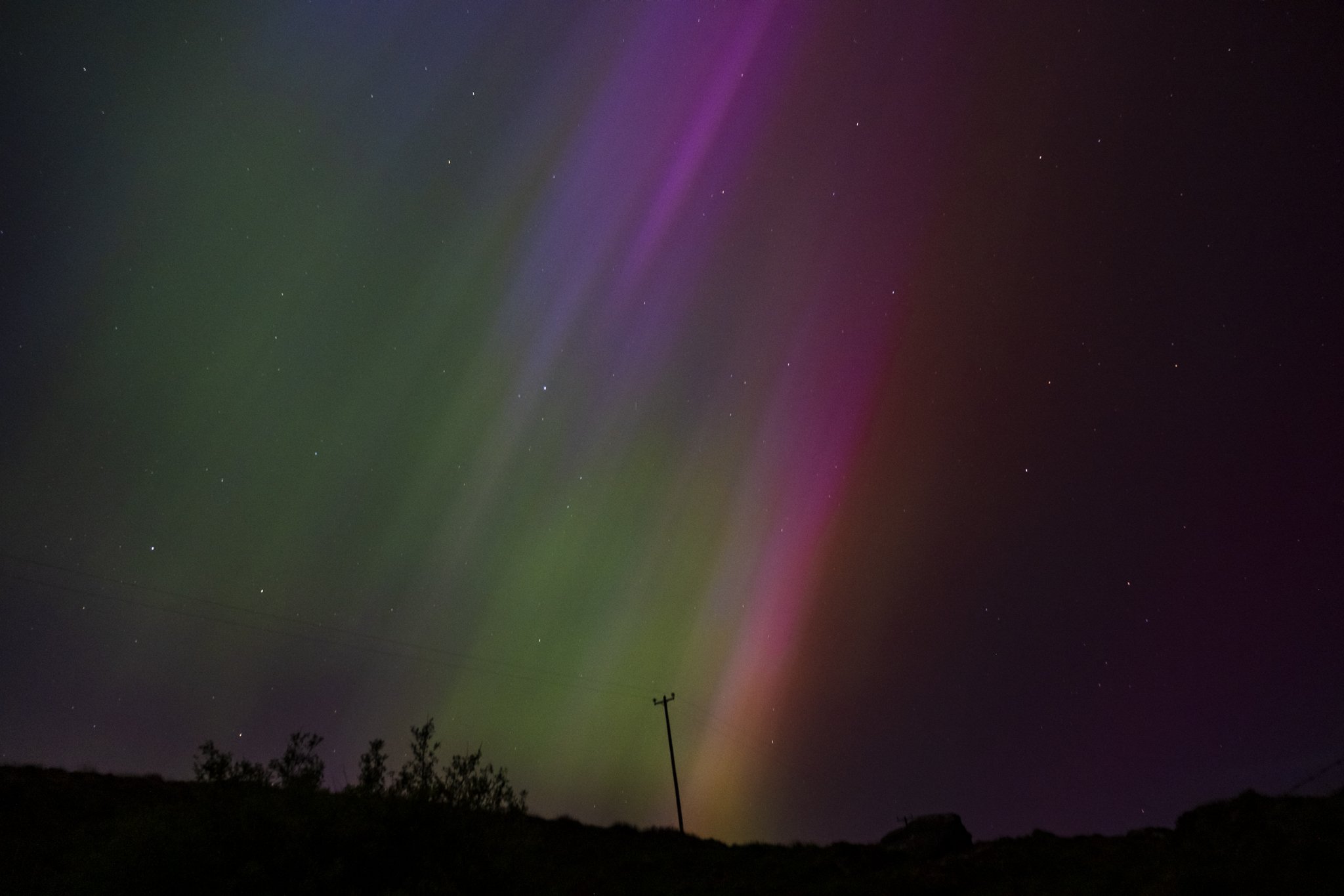 DSCF6096.jpg