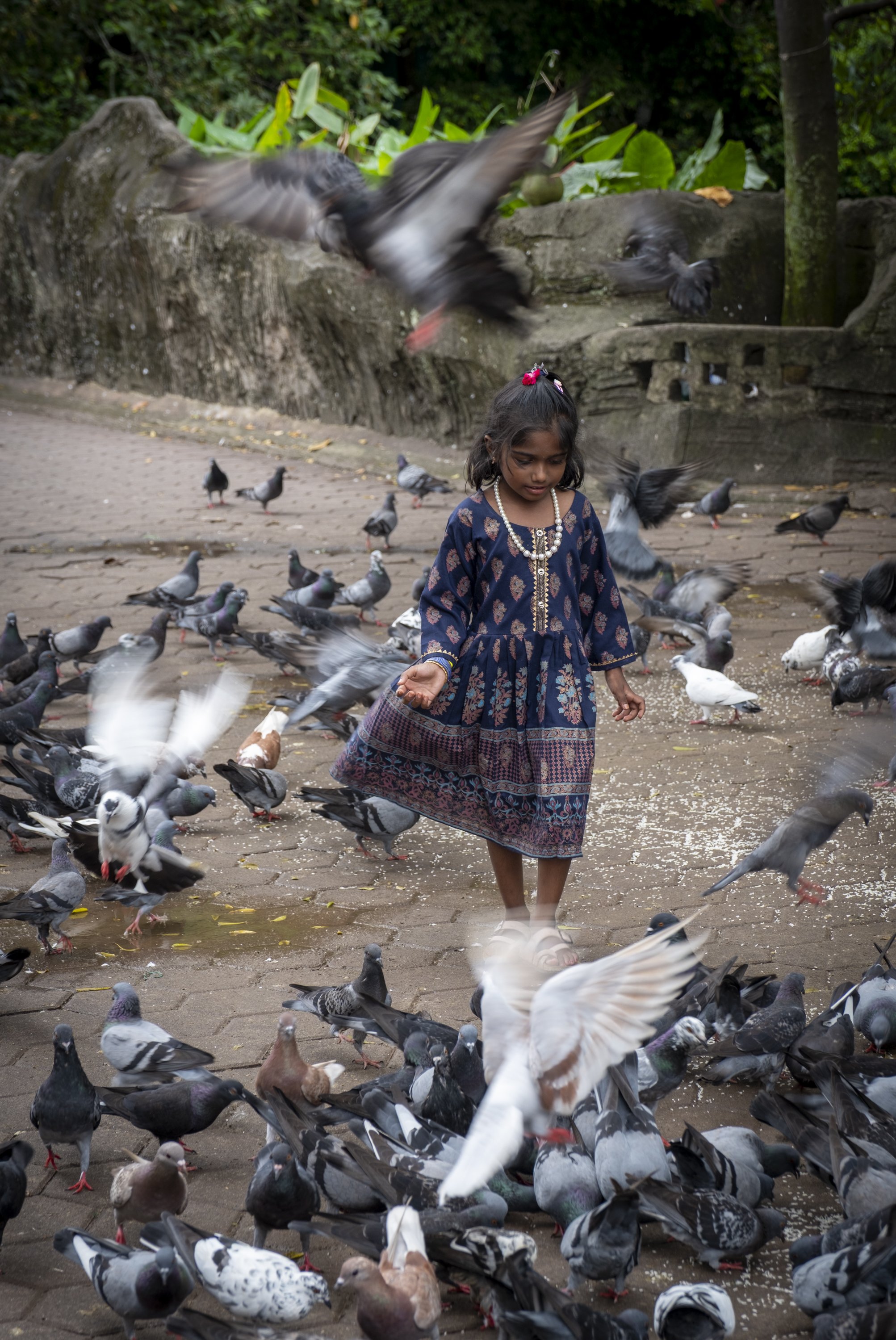 Kuala Lumpar, Malaysia.