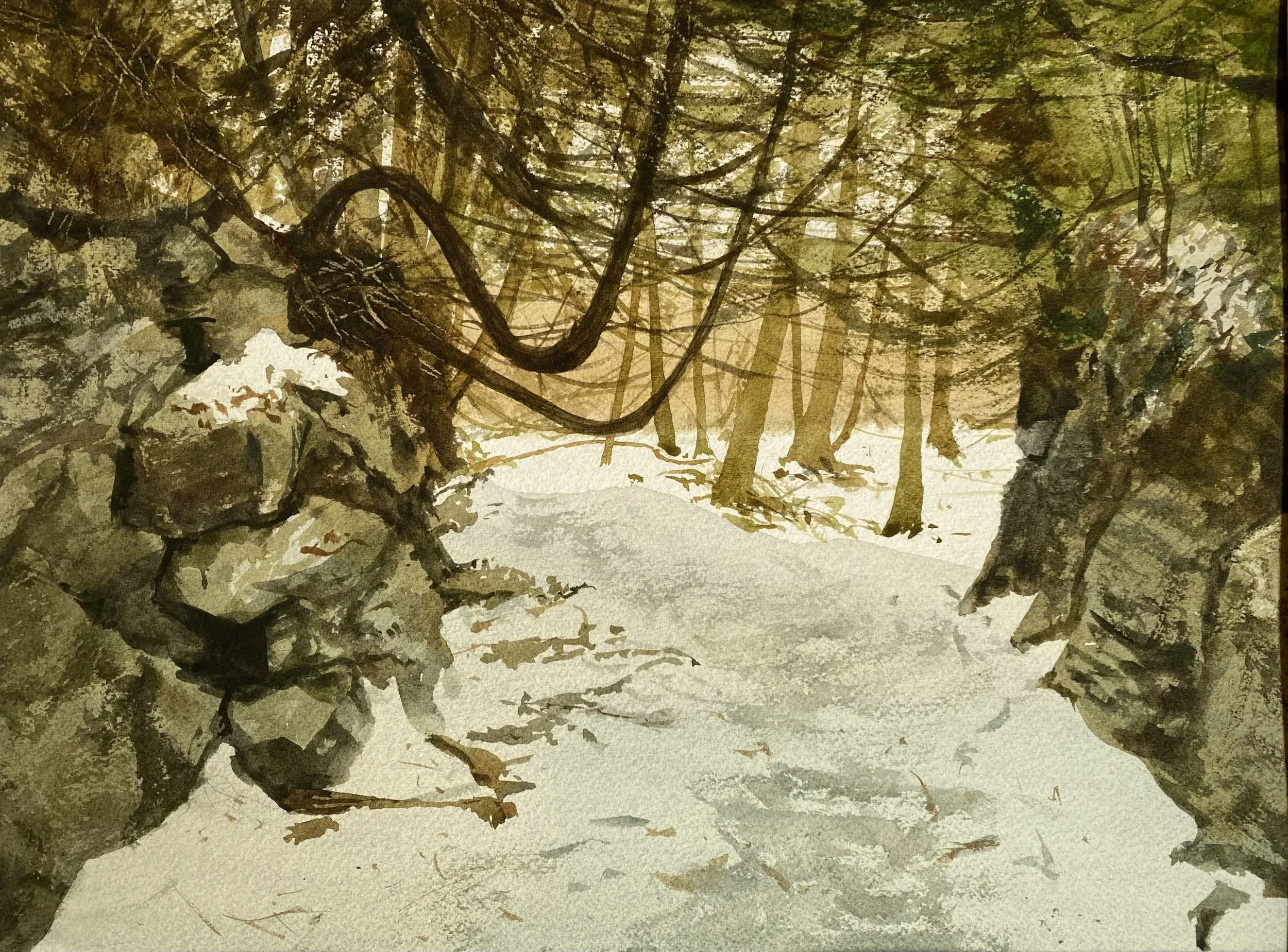 Trail at Pulp Mill Bridge