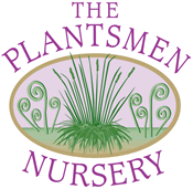 The Plantsmen Nursery
