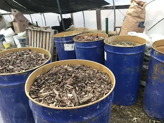 wood-chips-etc-scaled.webp