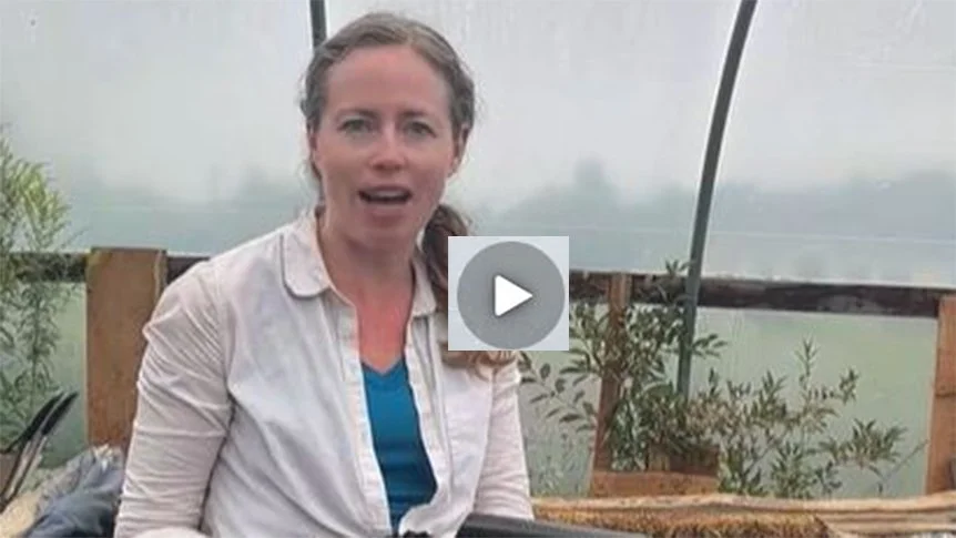 How is Web of Life Vegetables &amp; Flowers Compost different from the Trees, Bushes &amp; Canes Blend?