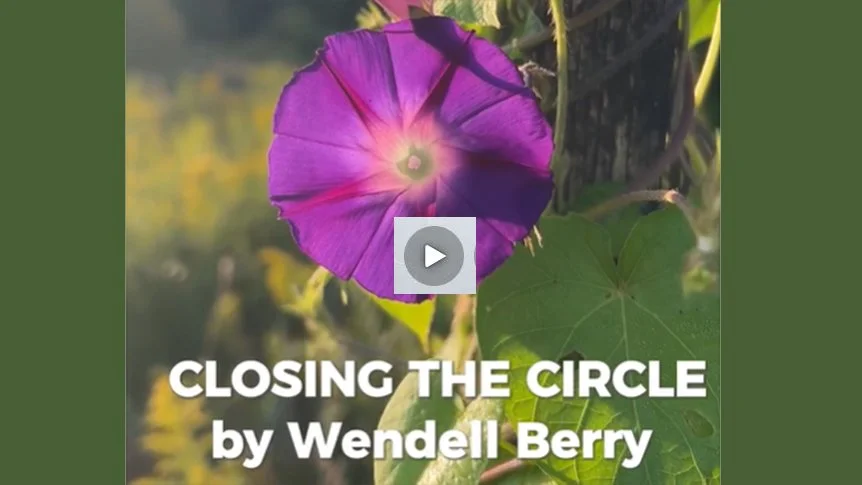 Closing the Circle