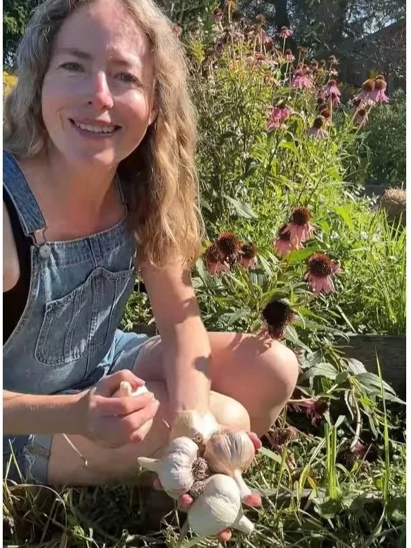 How to Prep a No-Till Bed for Seeding Garlic