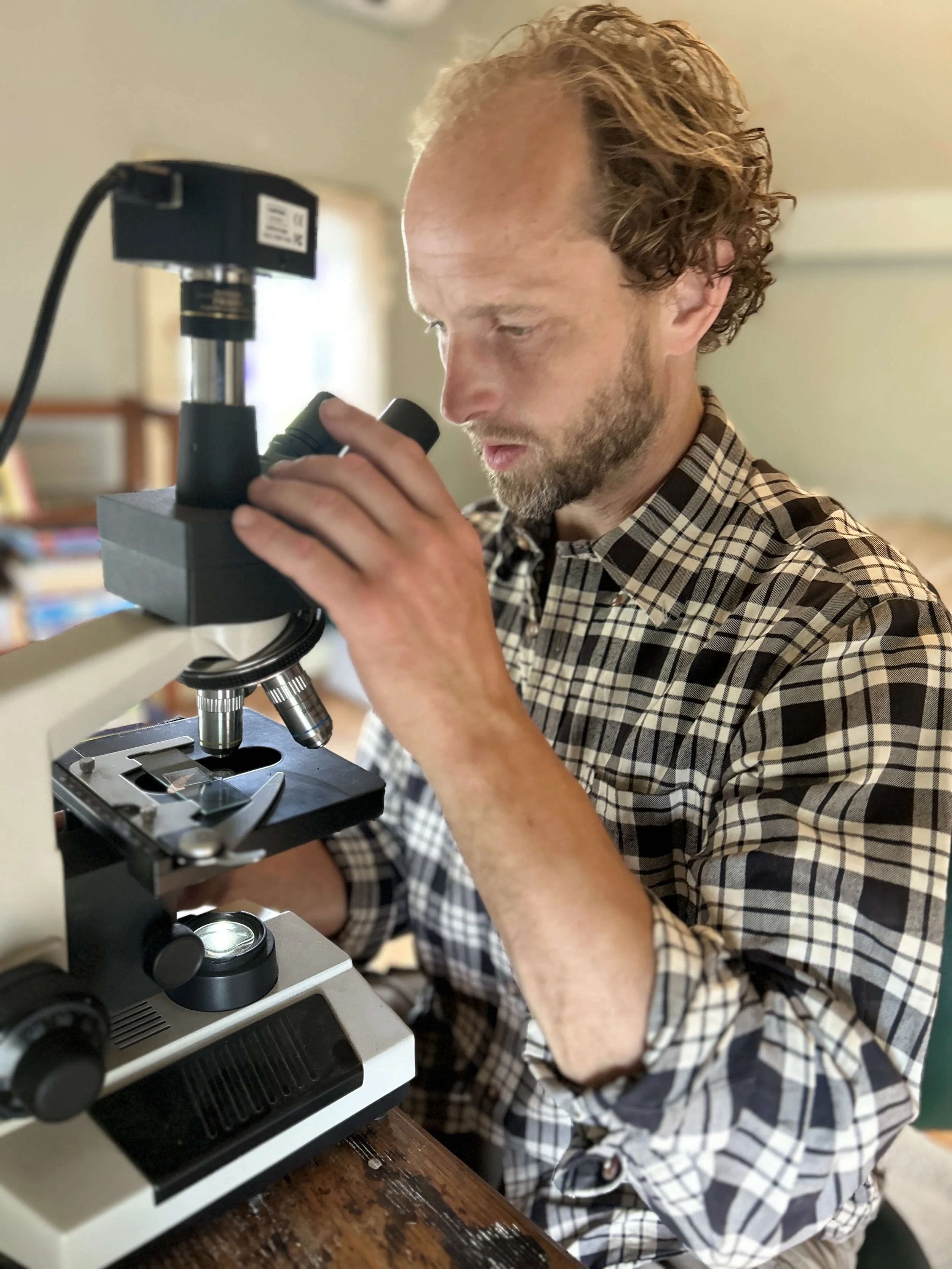 Microscopic Biodiversity Assessments