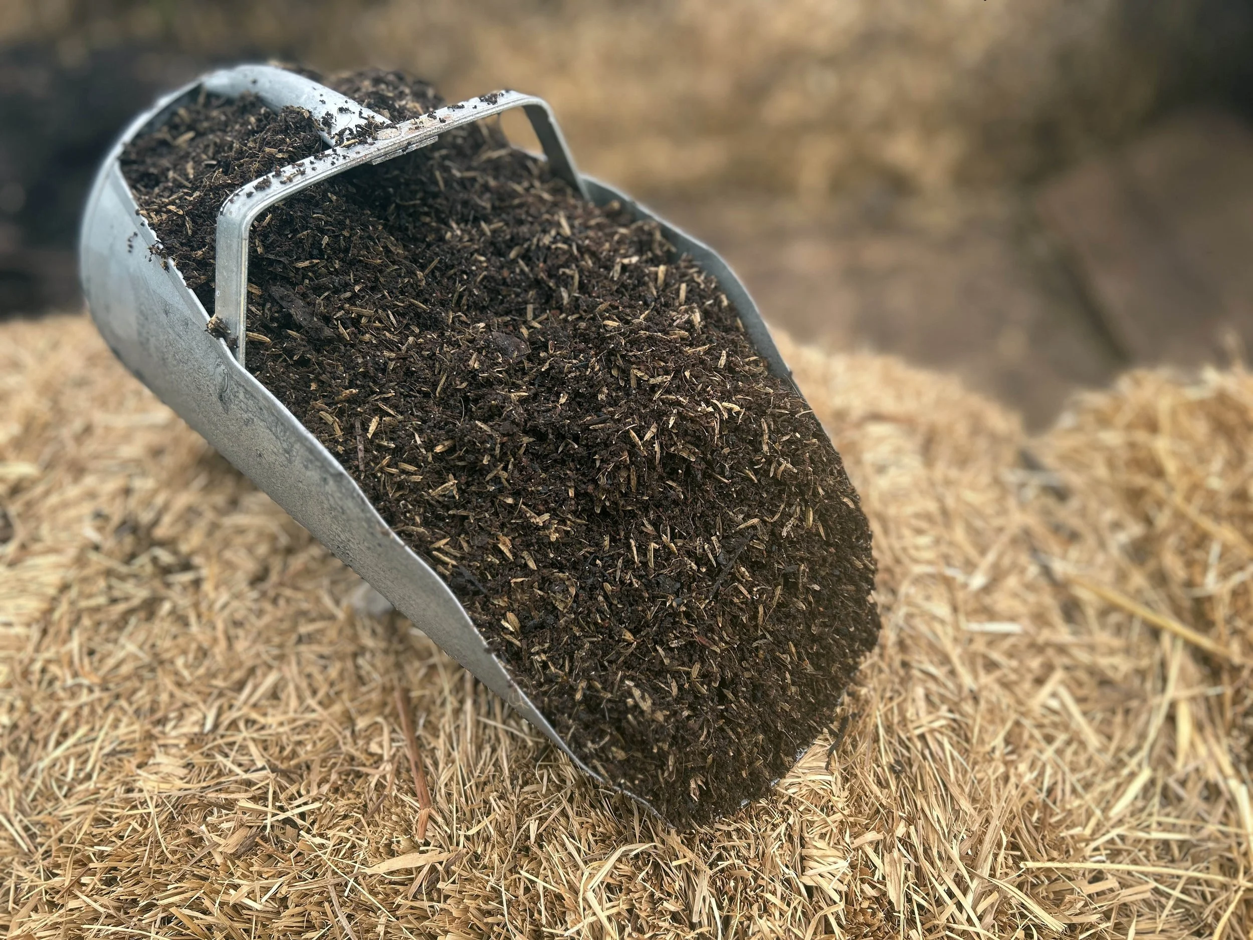 Web of Life Peat-Free Potting Mix