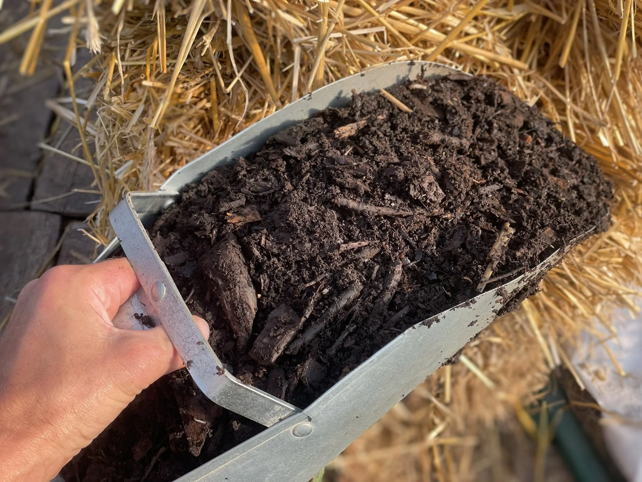 REVITALIZE! Bulk, by the Quart