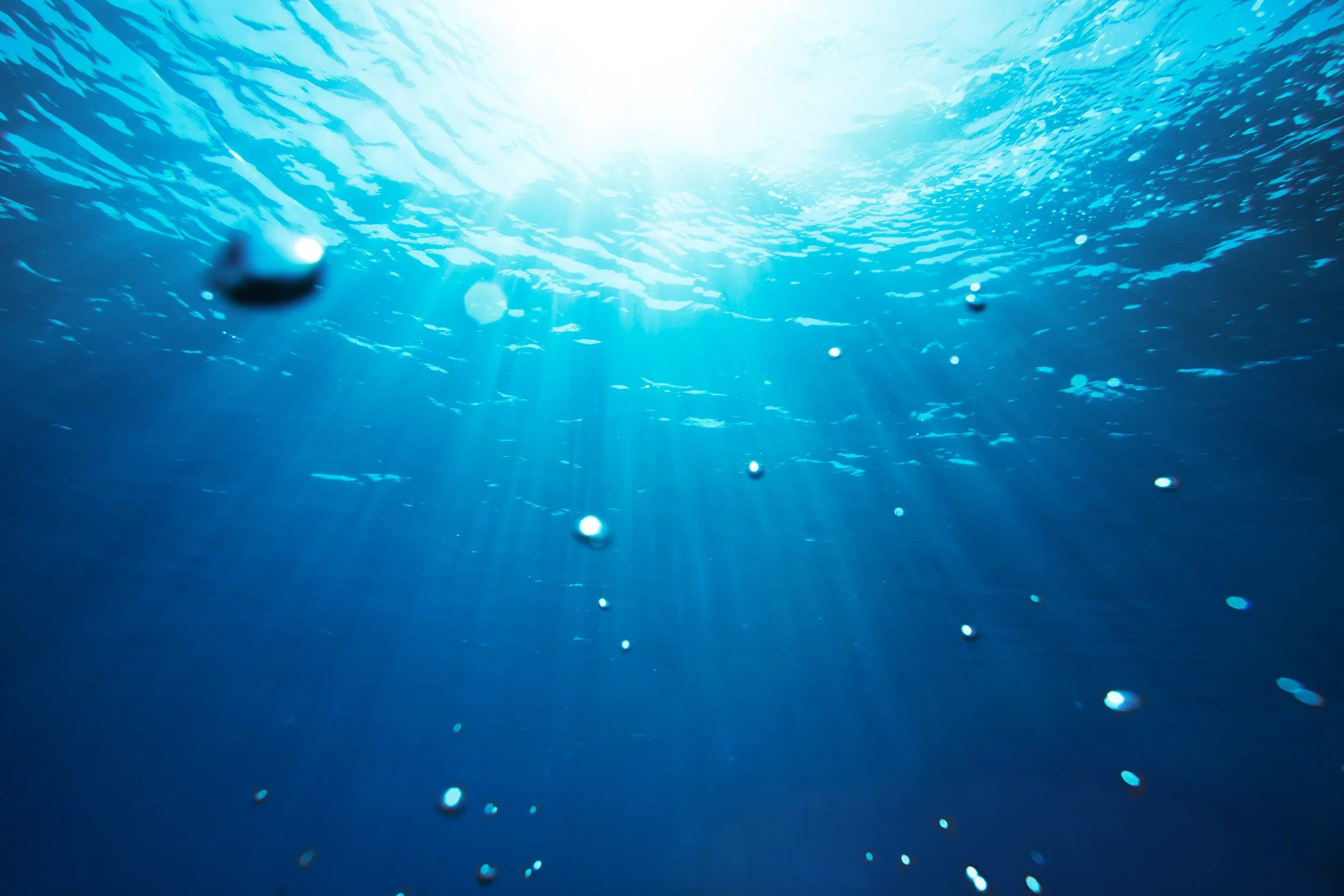 Underwater scene with sunlight filtering through water and bubbles rising.