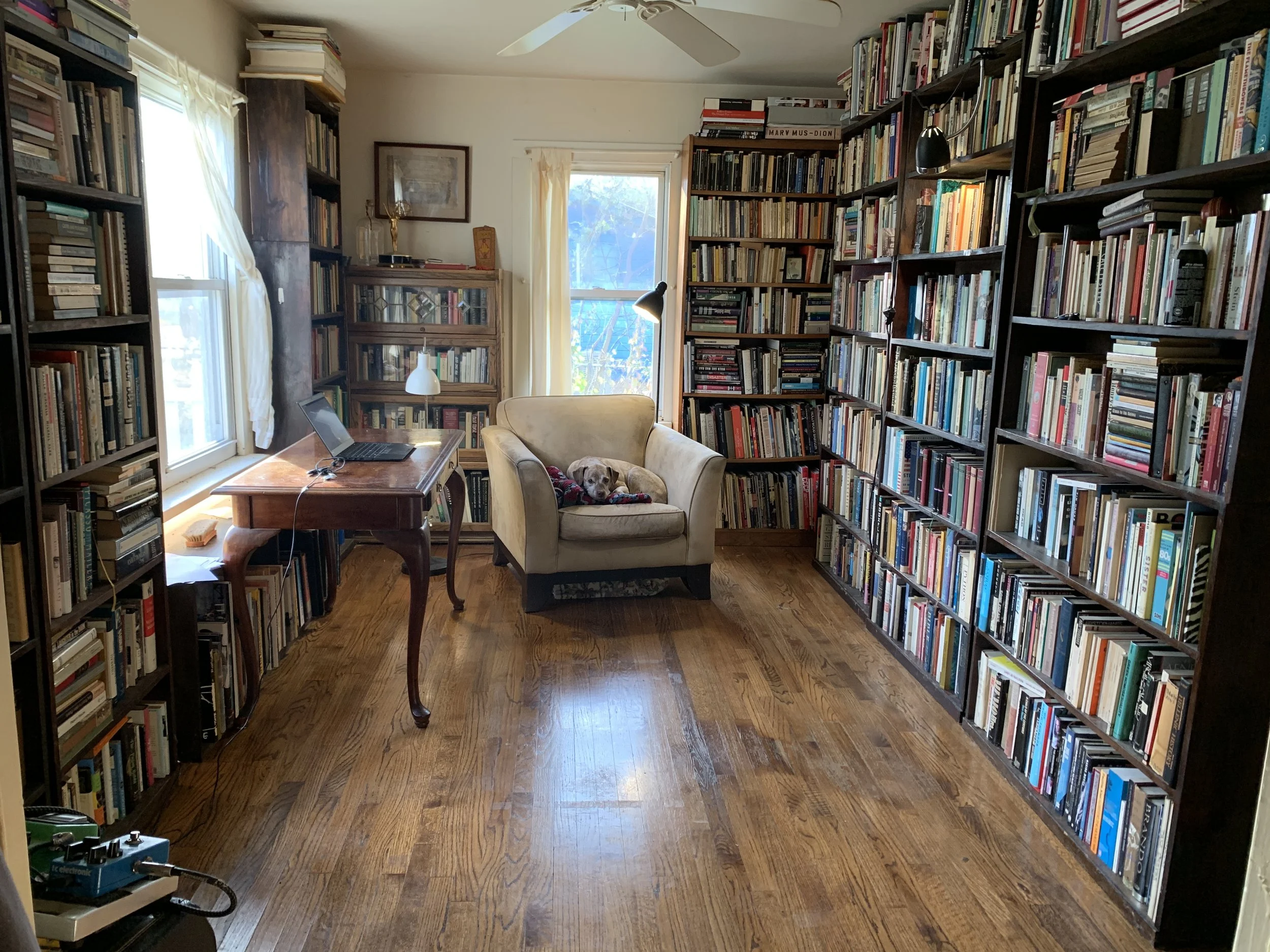 A cozy home library with tall bookshelves filled with books on all sides. A small window with curtains lets in natural light. In the center, there is a light-colored armchair with a dog lying on it, next to a small antique wooden desk with a laptop. The floor is wooden, and a ceiling fan hangs overhead.