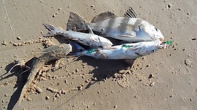 Which Fishing Leaders to Use?