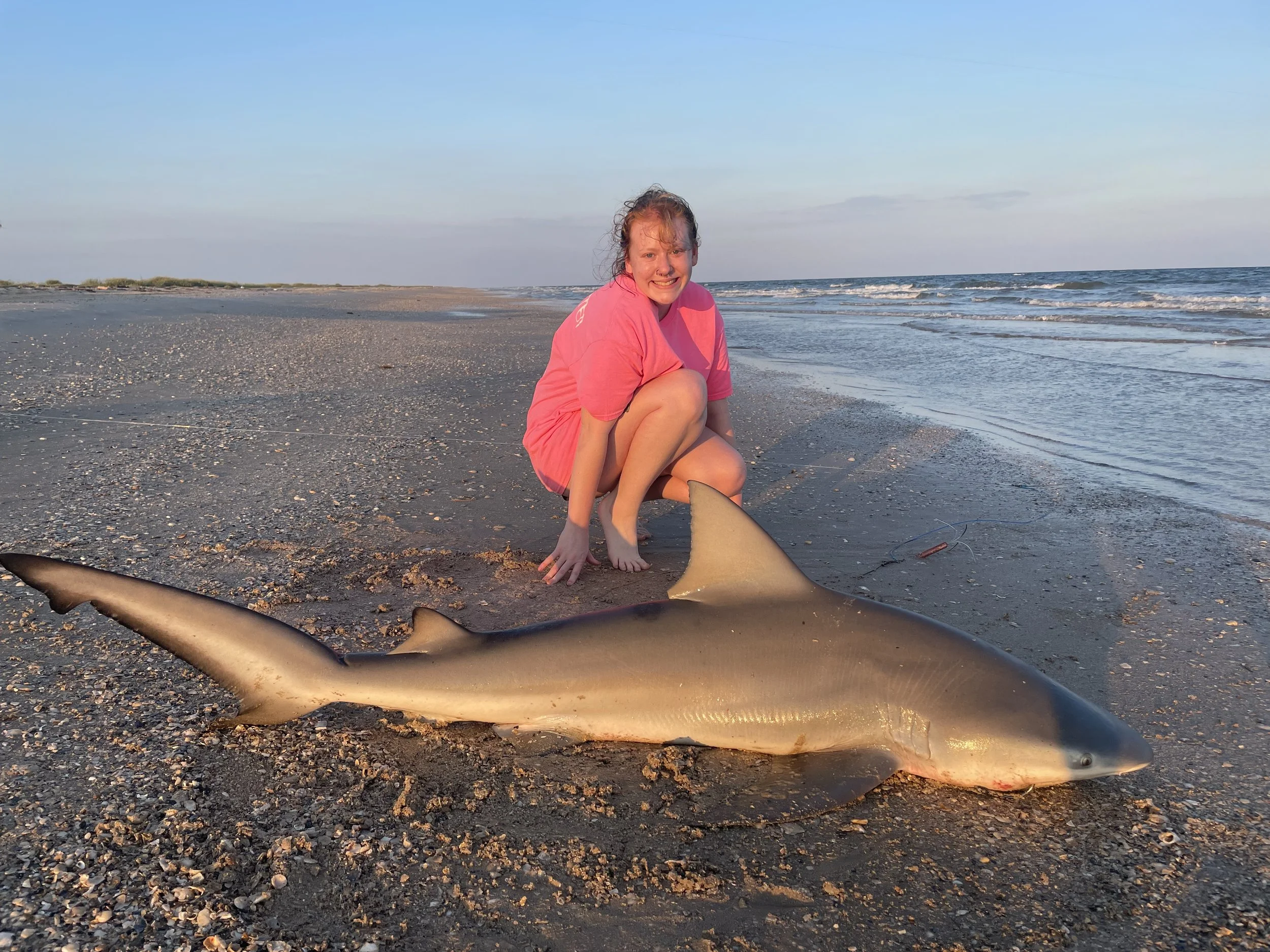 How To Catch a Shark