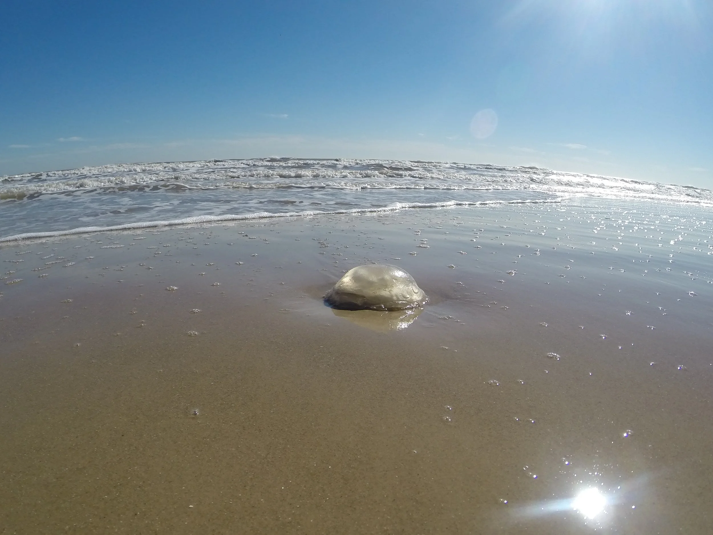 Texas Beaches (North to South)