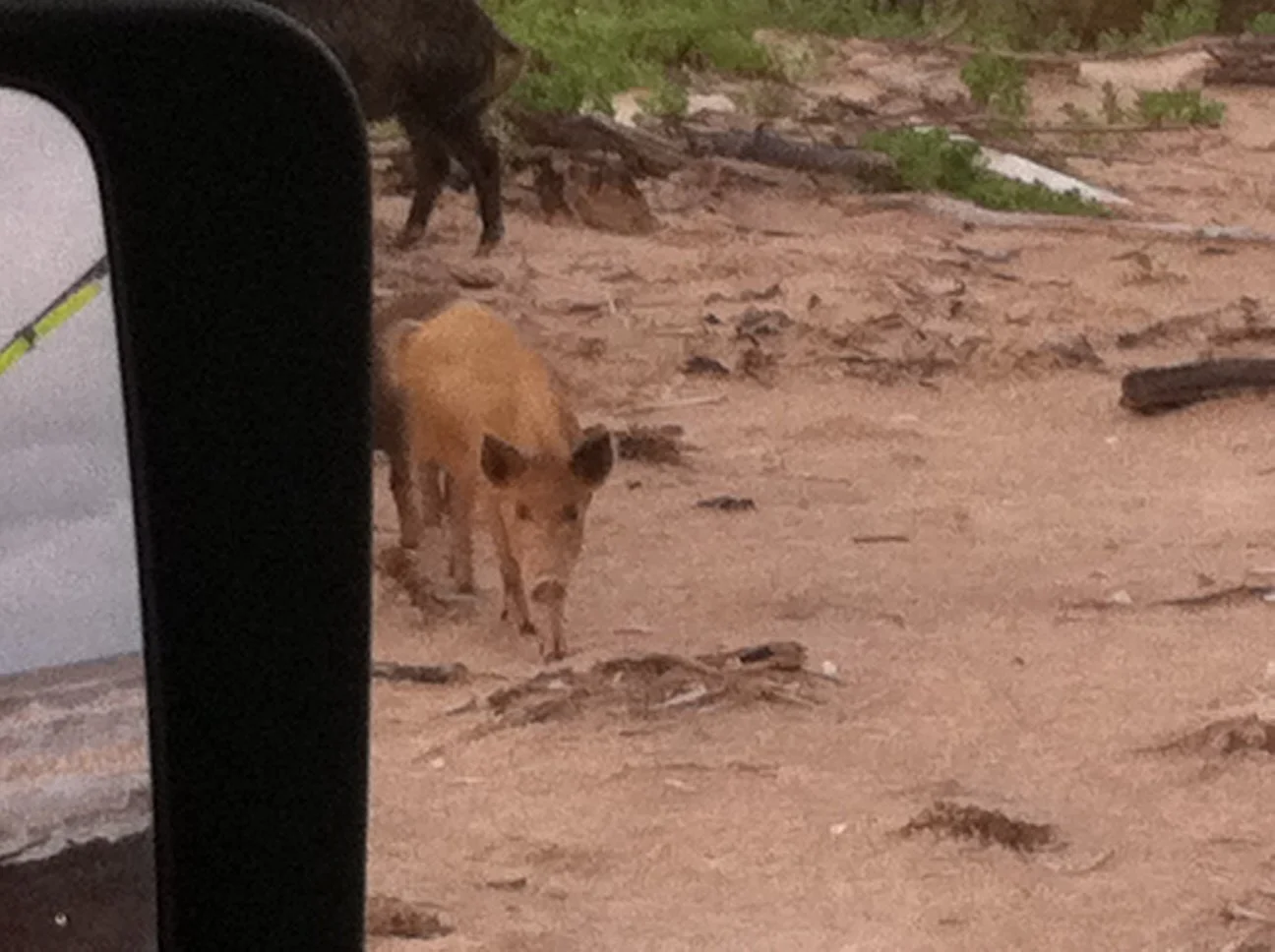 Stay Out of the Water!! Also, the Beach is Haunted