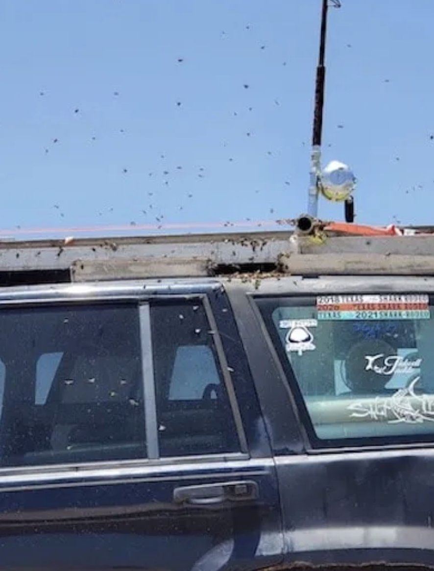 Screenshot 2026-01-30 at 10.25.41 PM.png